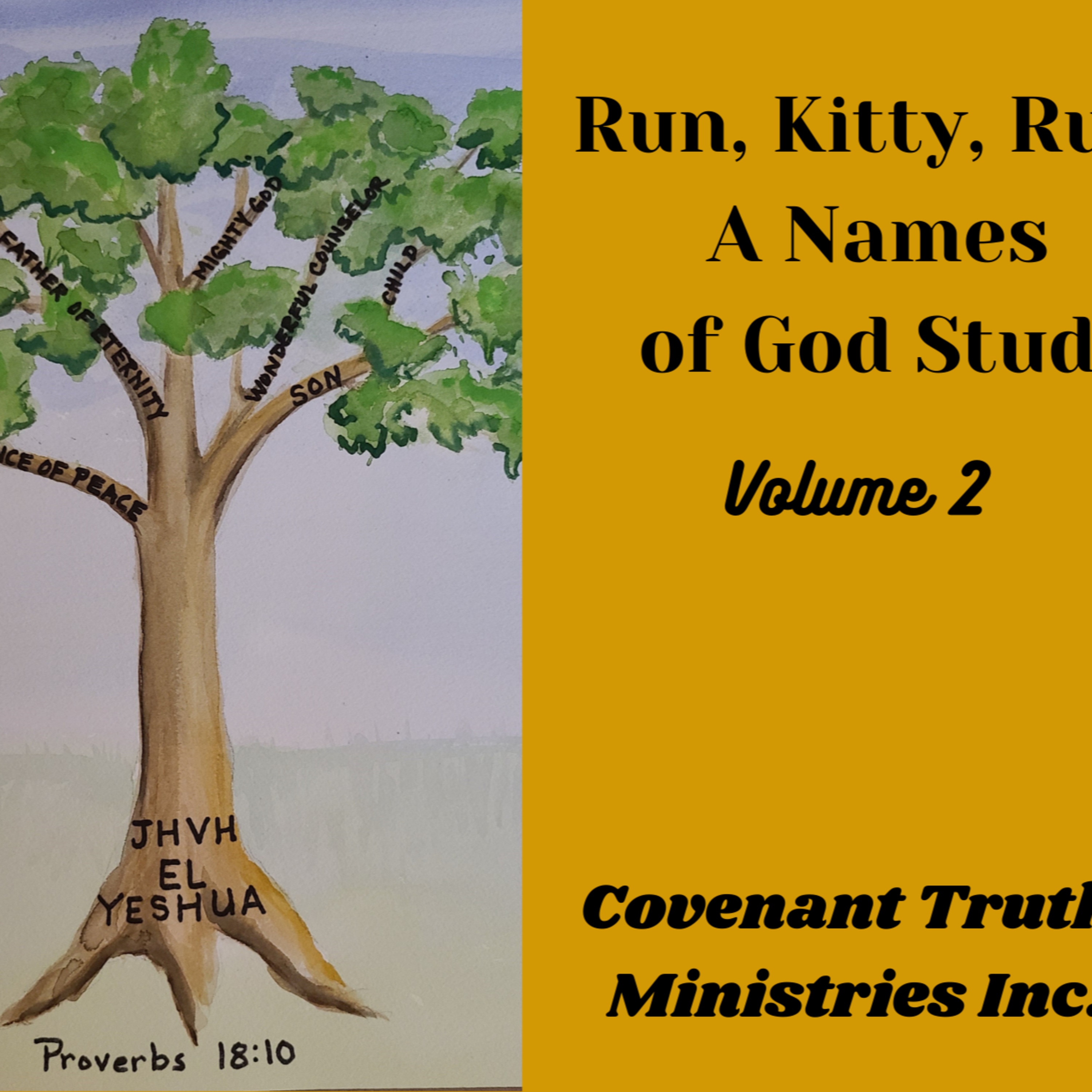 Run Kitty Run - Volume 2 - Lesson 6 - El Olam, Eternal God episode artwork