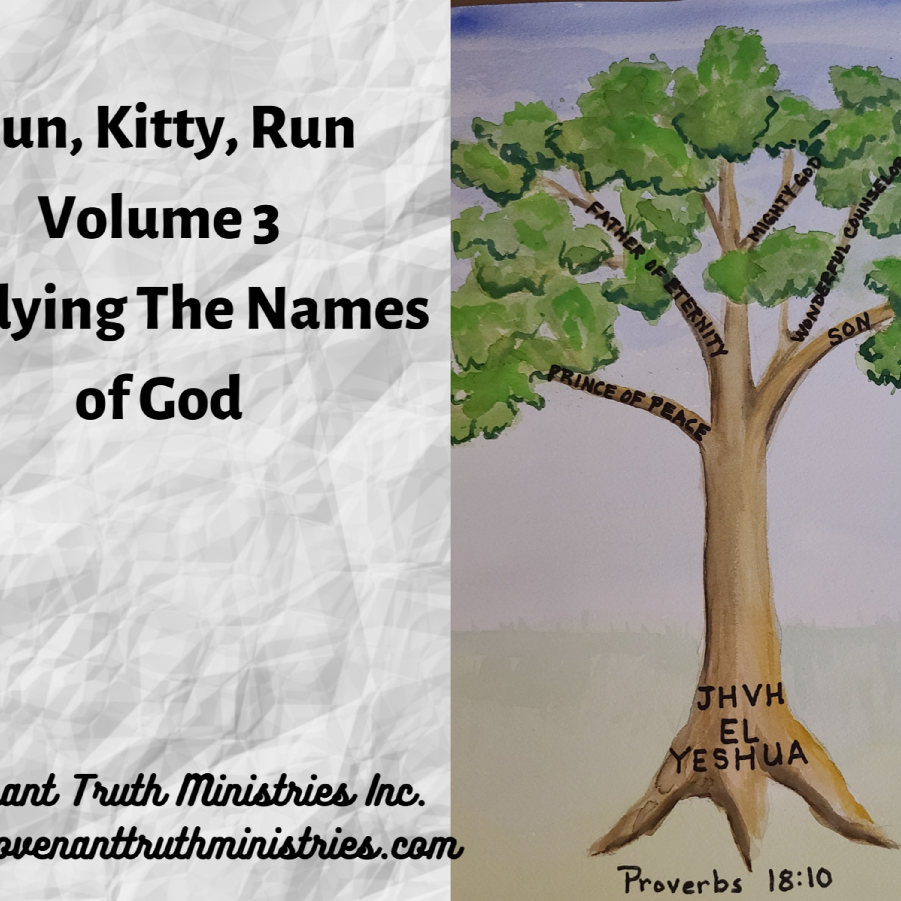 Run Kitty Run - Volume 3 - Lesson 2 - El Aman Faithful God episode artwork