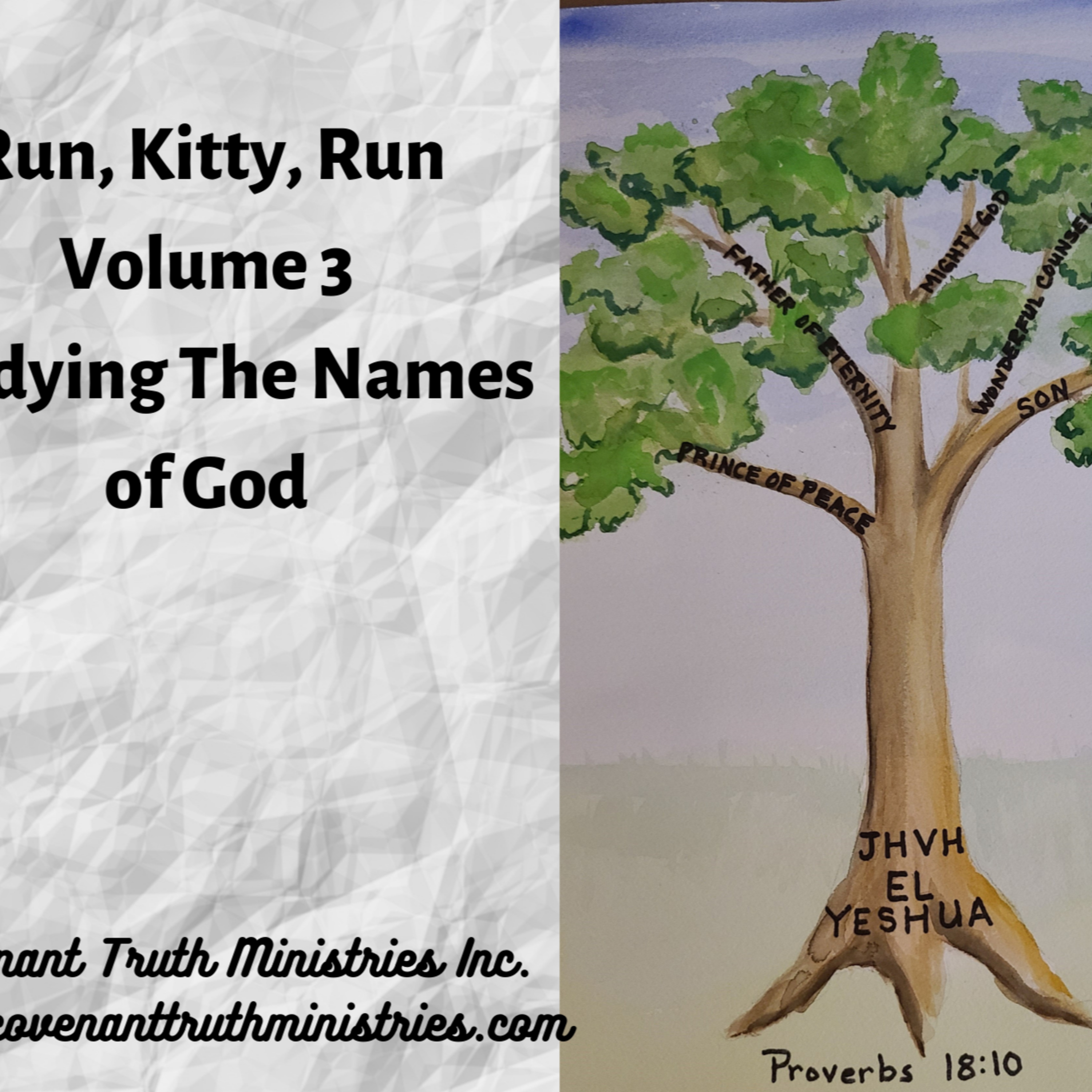 Run Kitty Run - Volume 3 - Lesson 4 - Abba Father episode artwork