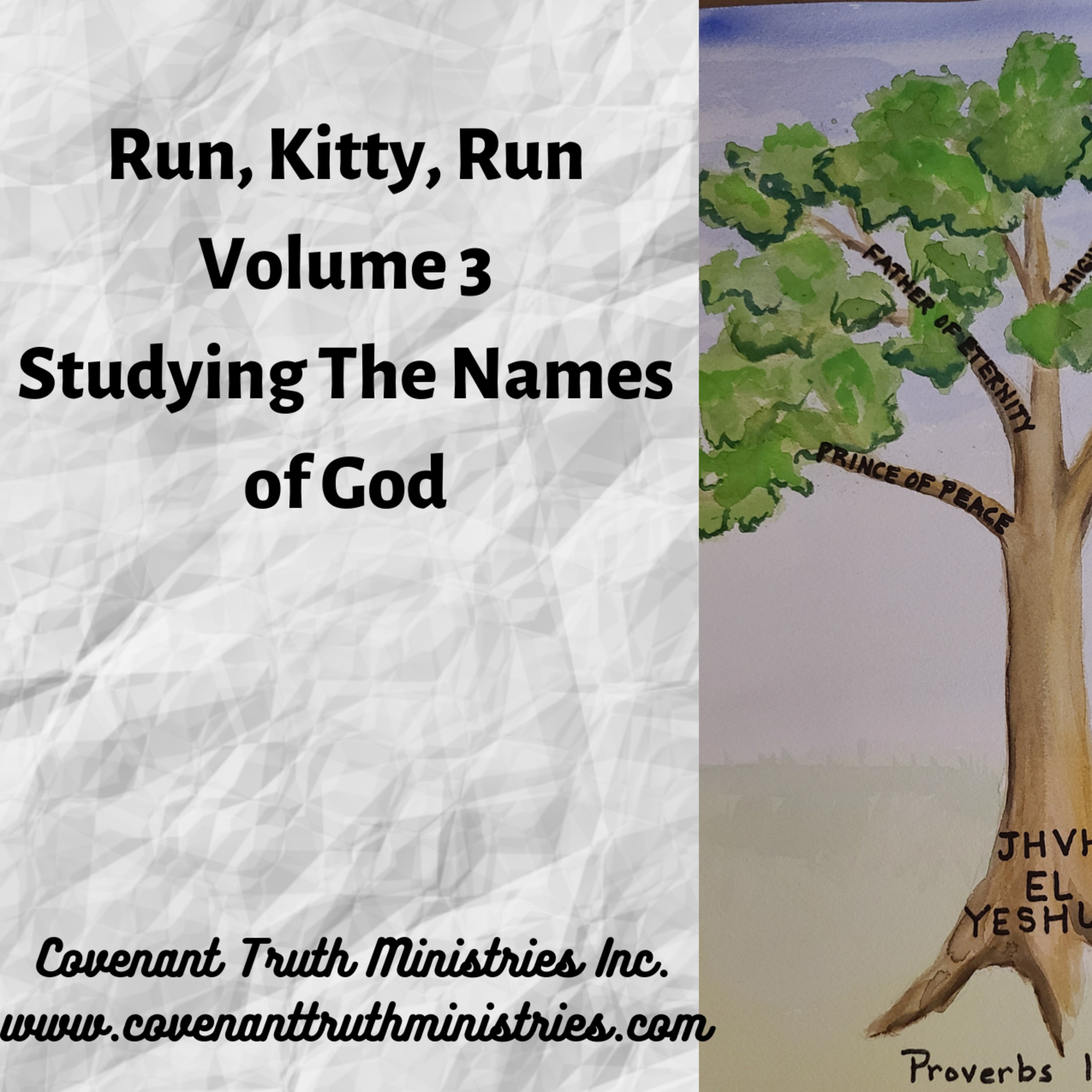 Run Kitty Run - Volume 3 - Lesson 8 -Adonai Lord episode artwork