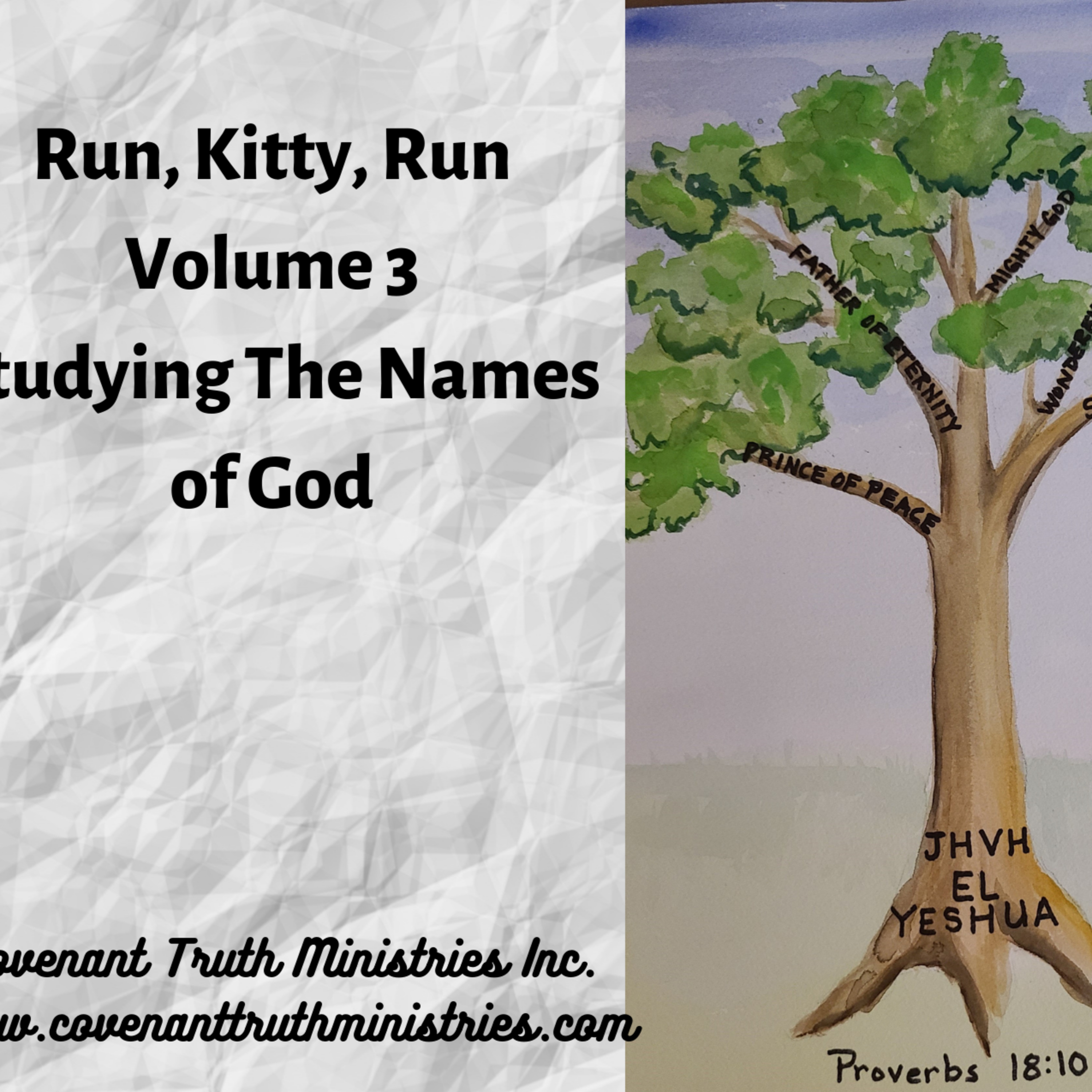 Run Kitty Run - Volume 3 - Lesson 9 - YHVH Sabaoth The Lord of Hosts episode artwork