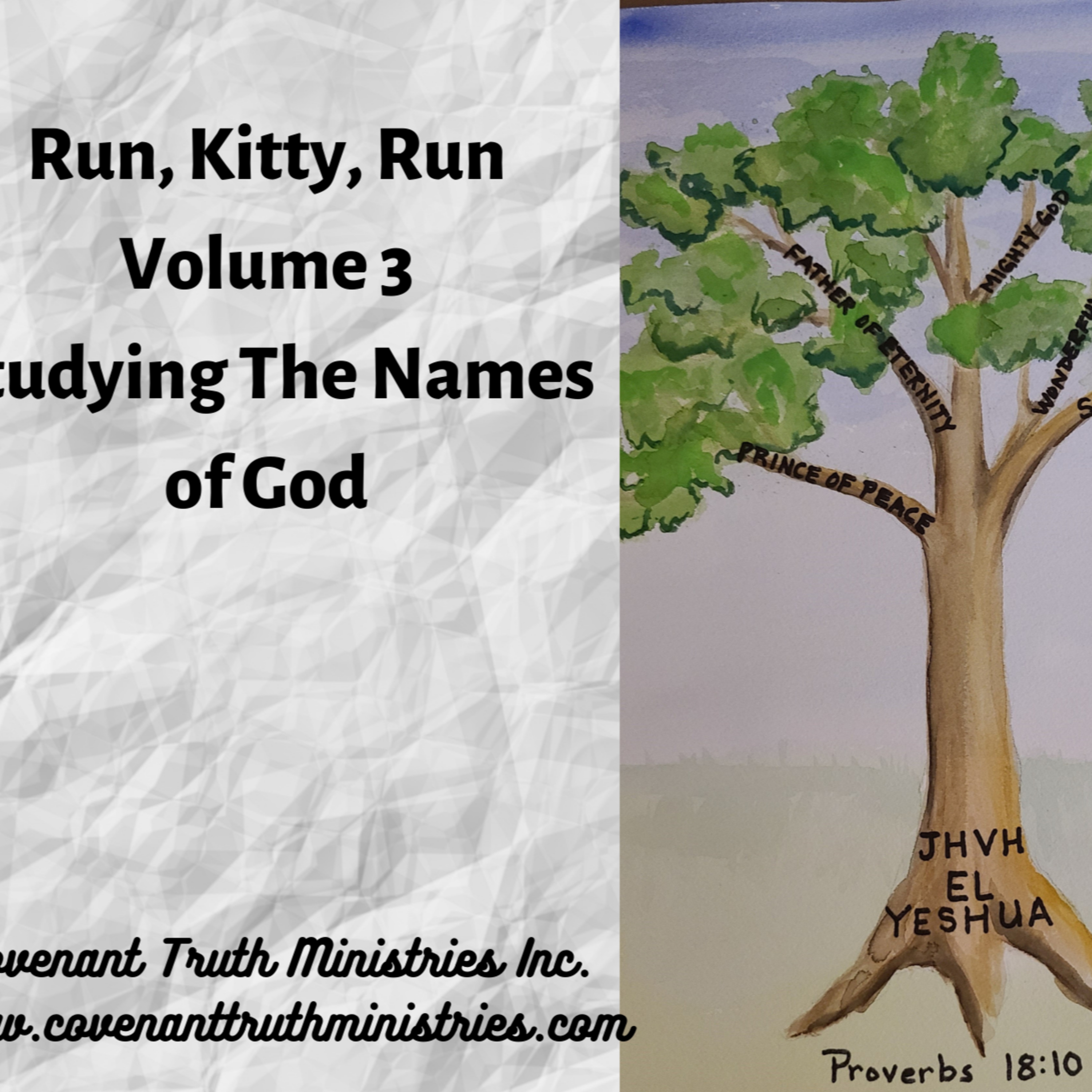 Run Kitty Run - Volume 3 - Lesson 11 - YHVH Shalom The Lord Our Peace episode artwork
