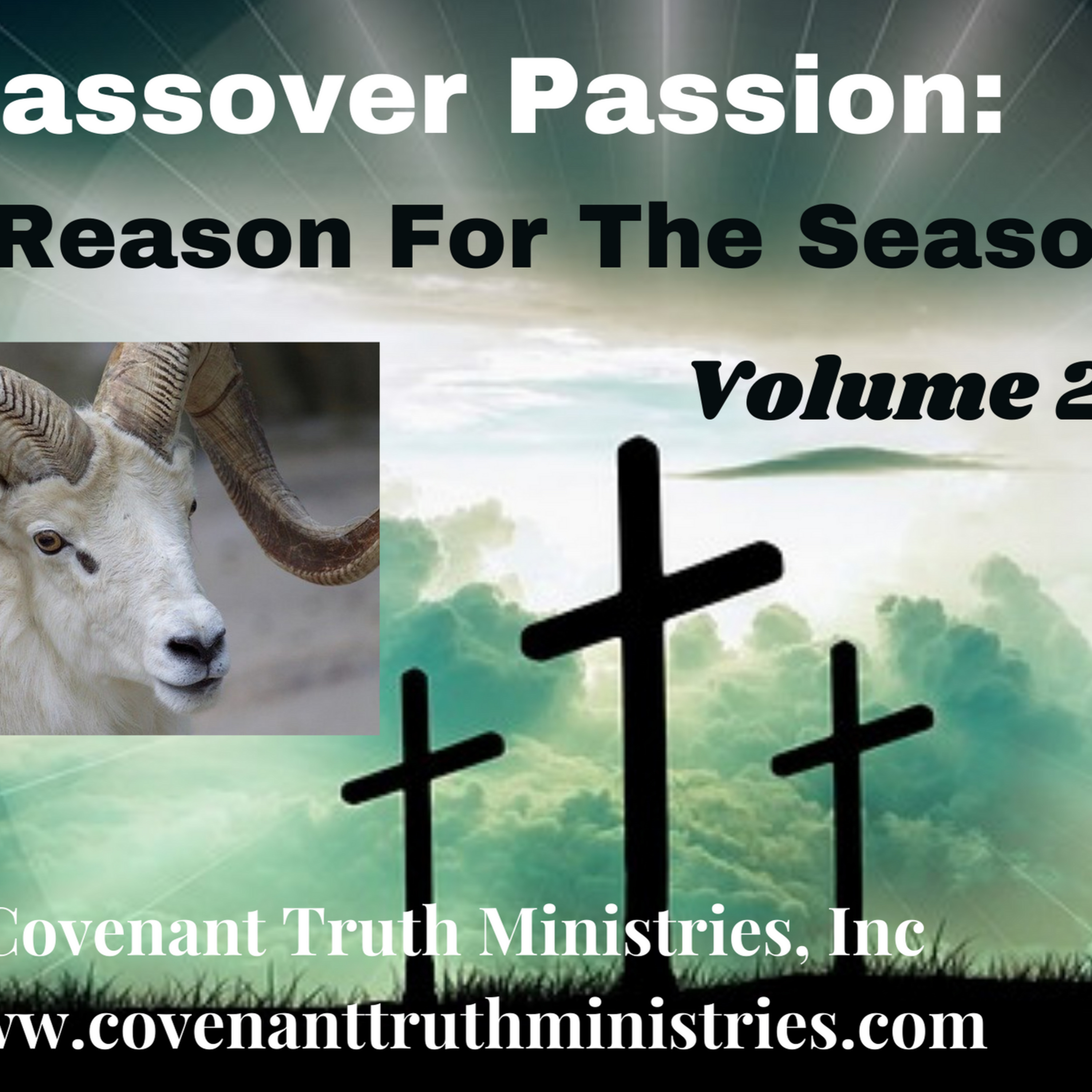 Passover Passion - Volume 2 - Less 8 - Poignancy episode artwork