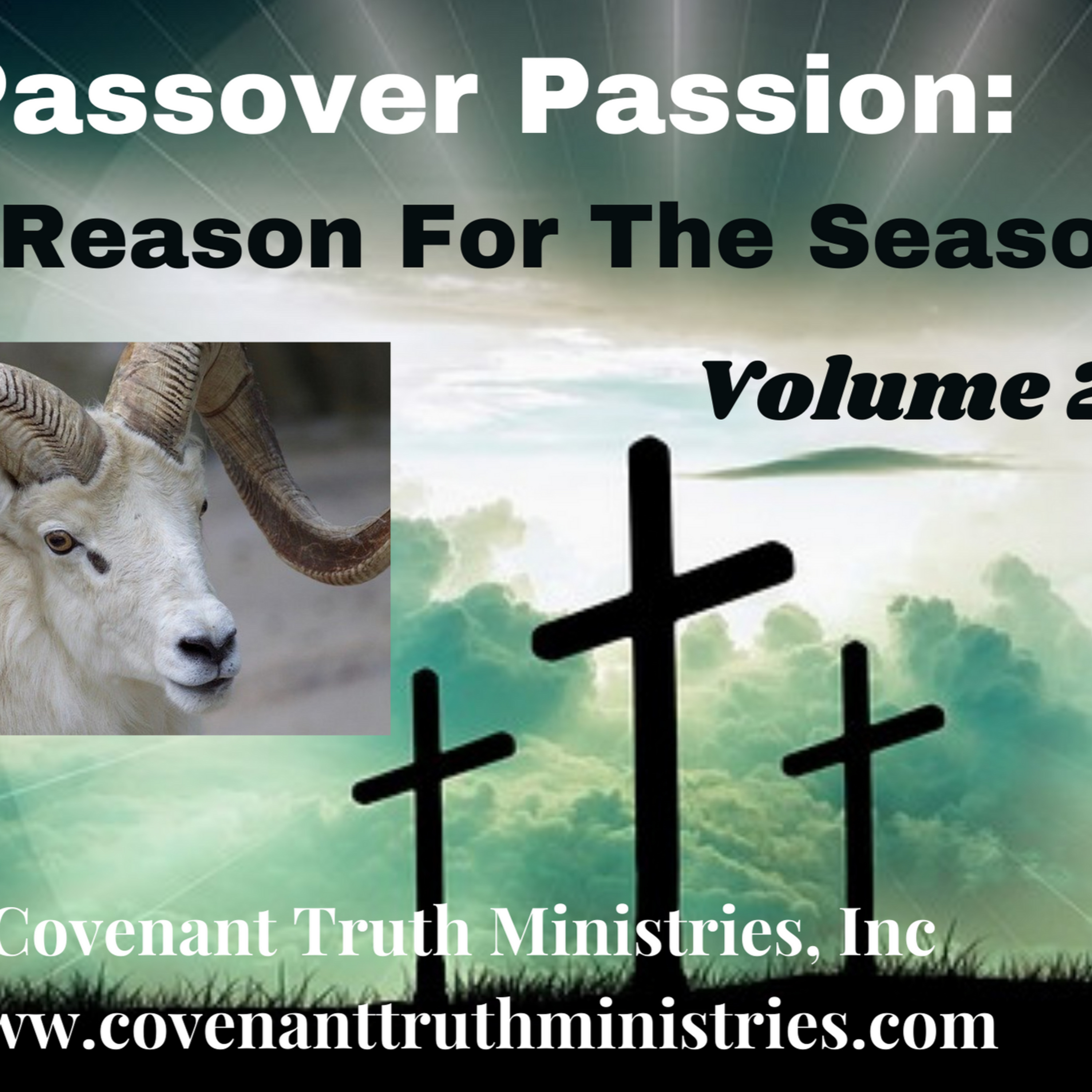Passover Passion - Volume 2 - Less 14 - Premise episode artwork