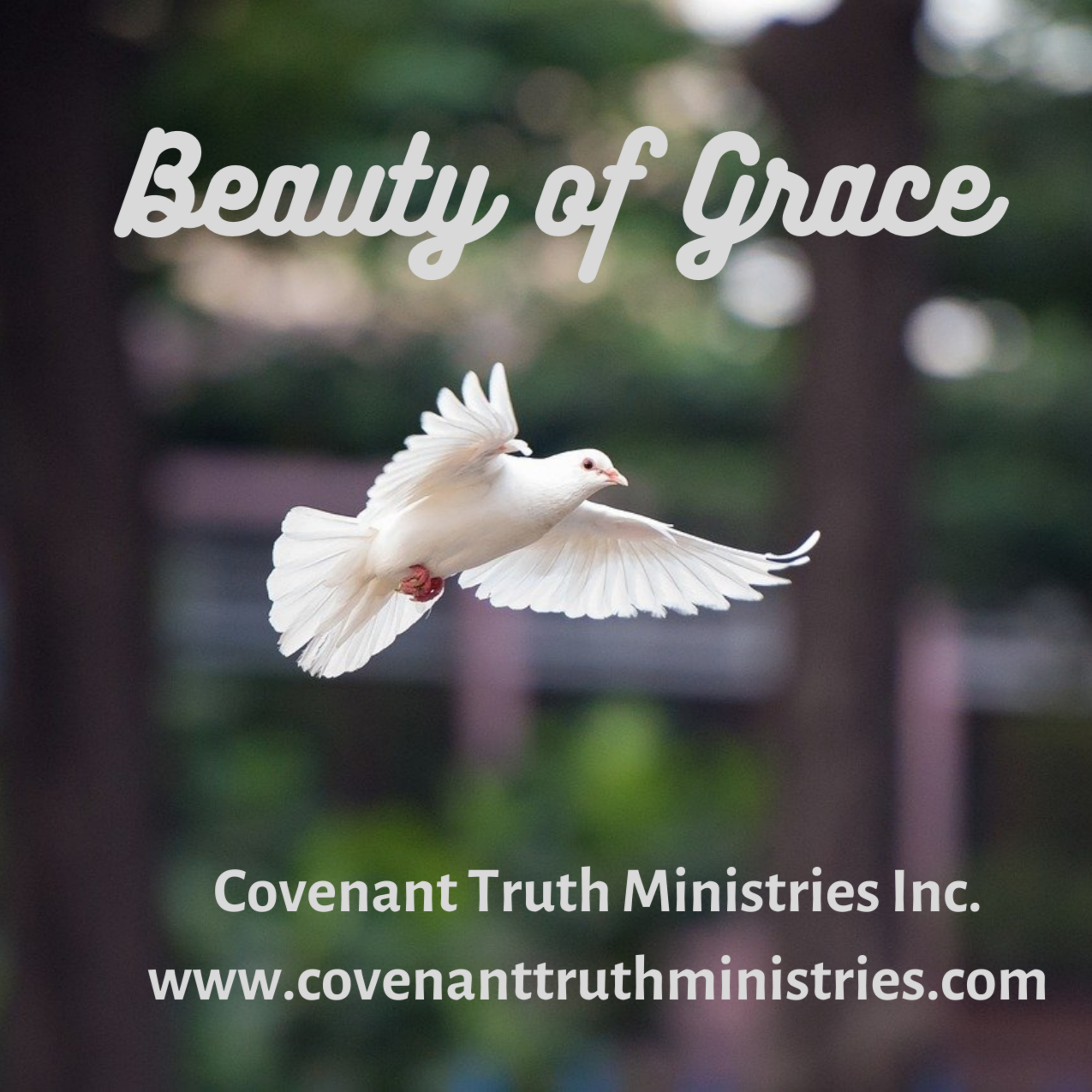 Beauty of Grace - Lesson 20 - The Choosing of Grace episode artwork