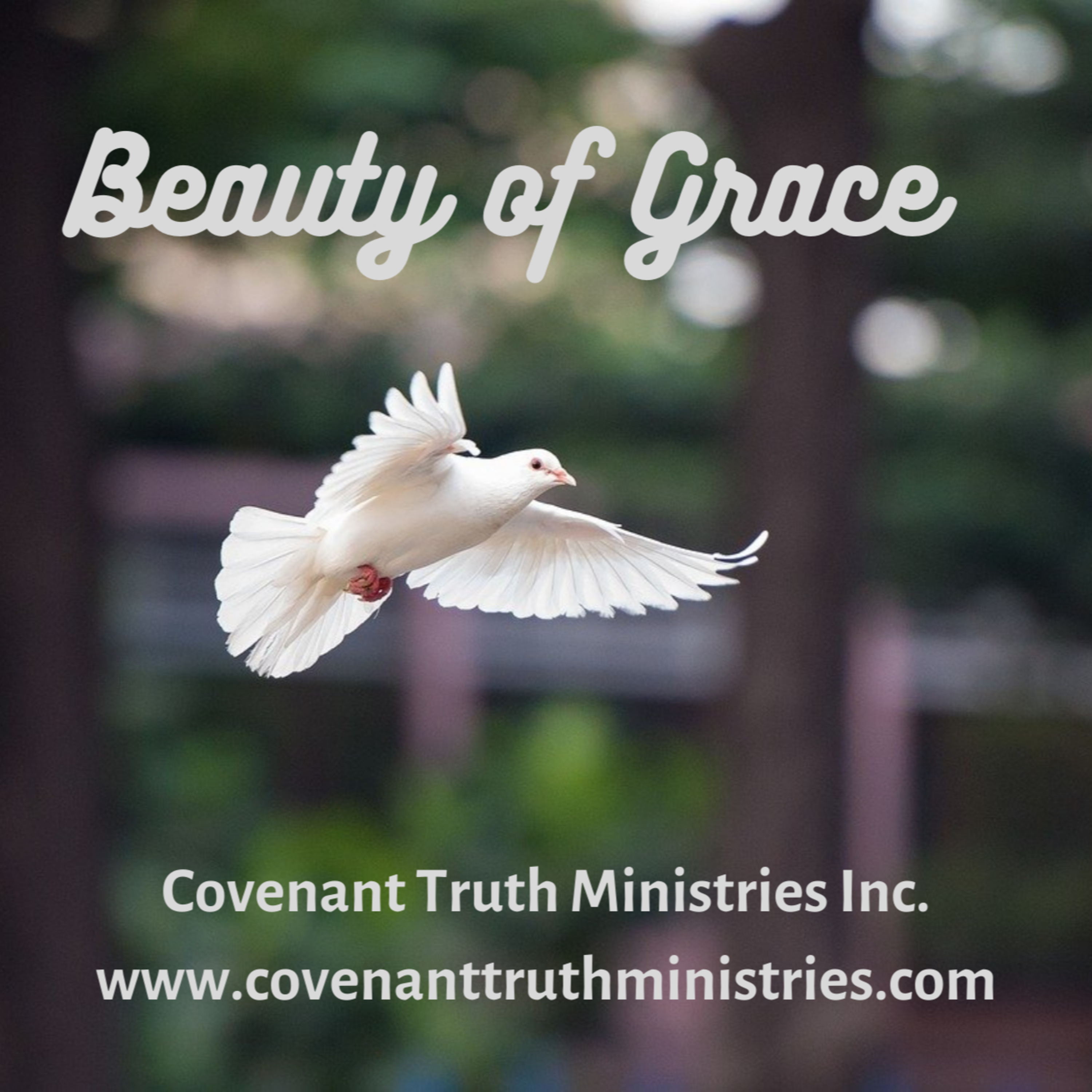 Beauty of Grace - Lesson 24 - The Conscience of Grace episode artwork