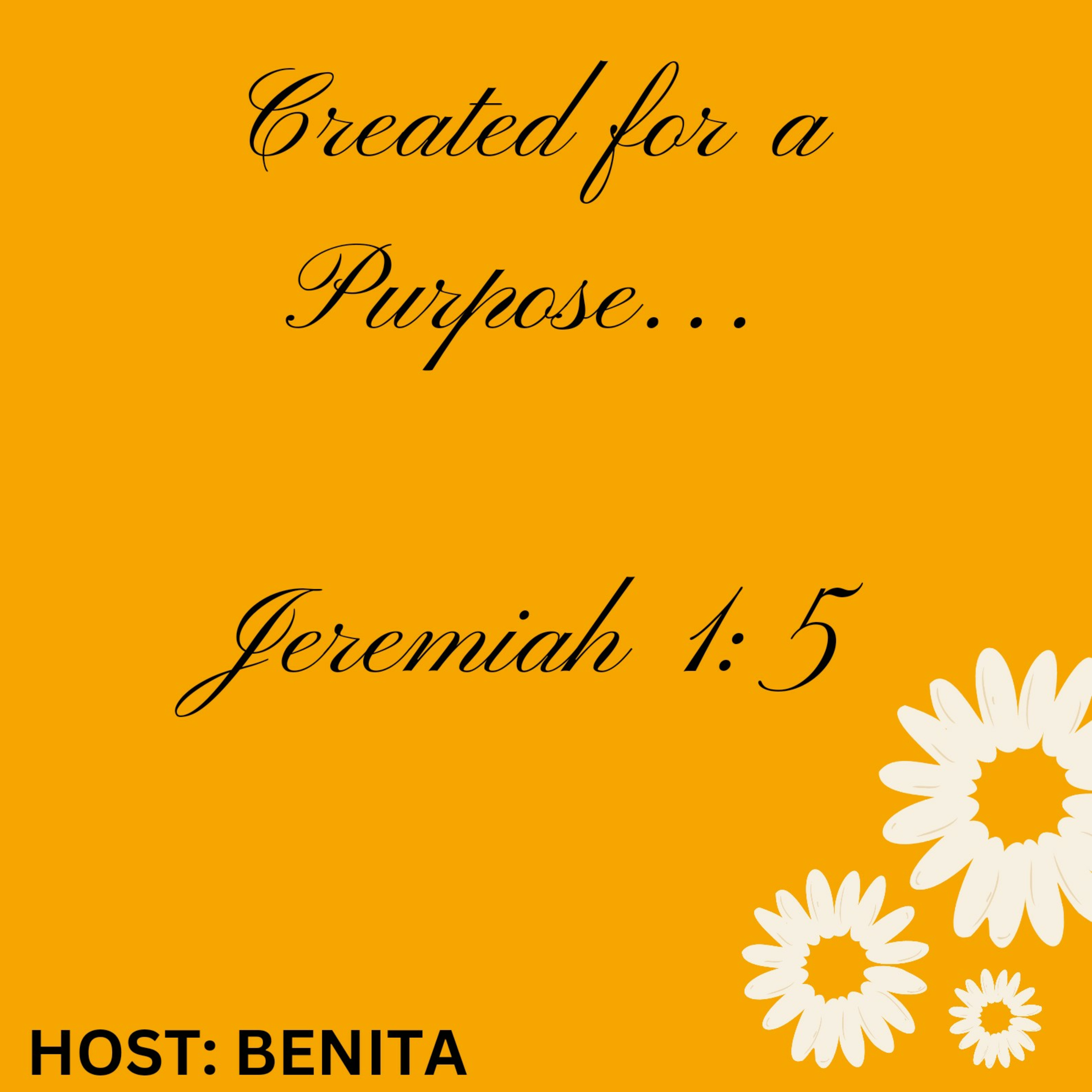 CREATED FOR A PURPOSE episode artwork