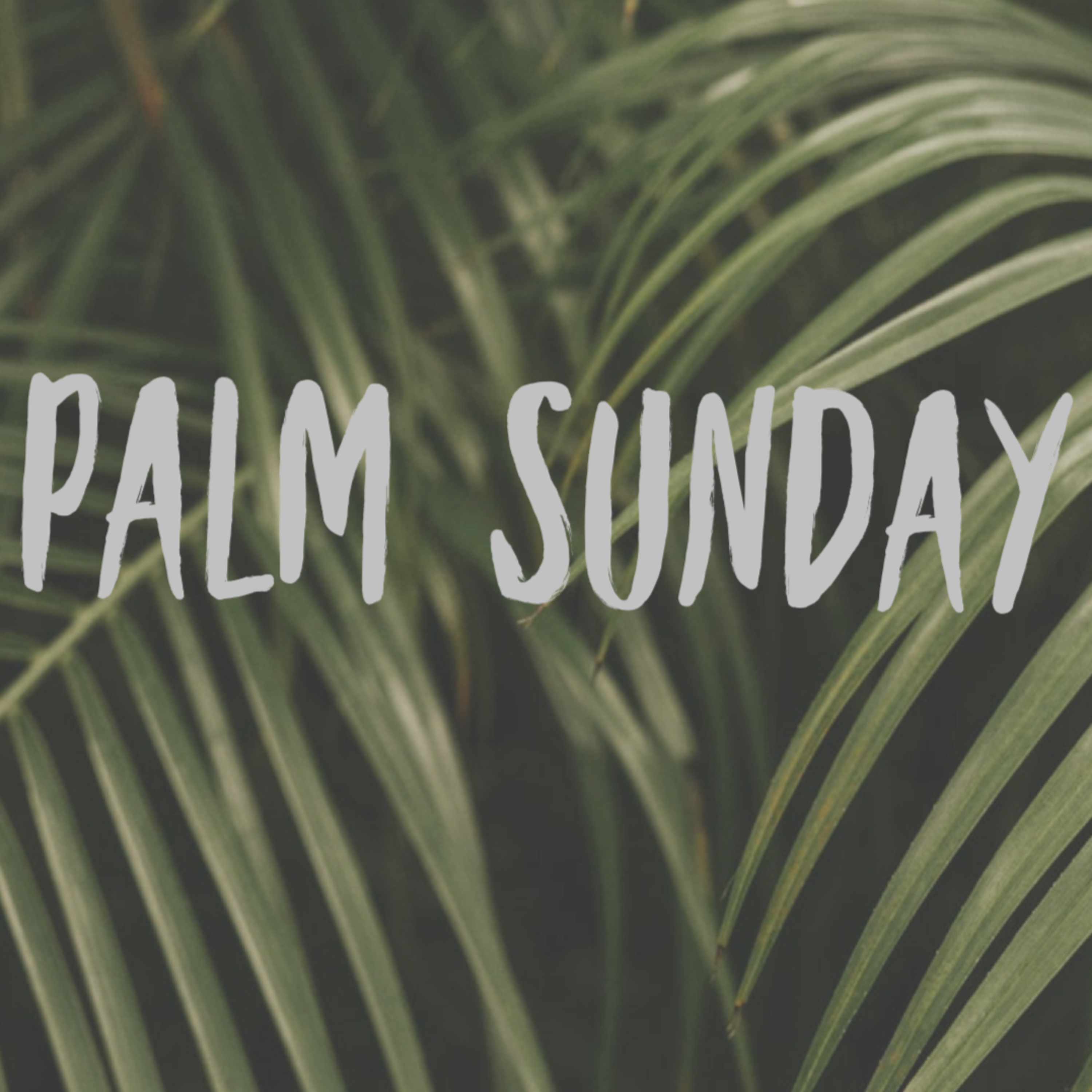 Palm Sunday episode artwork