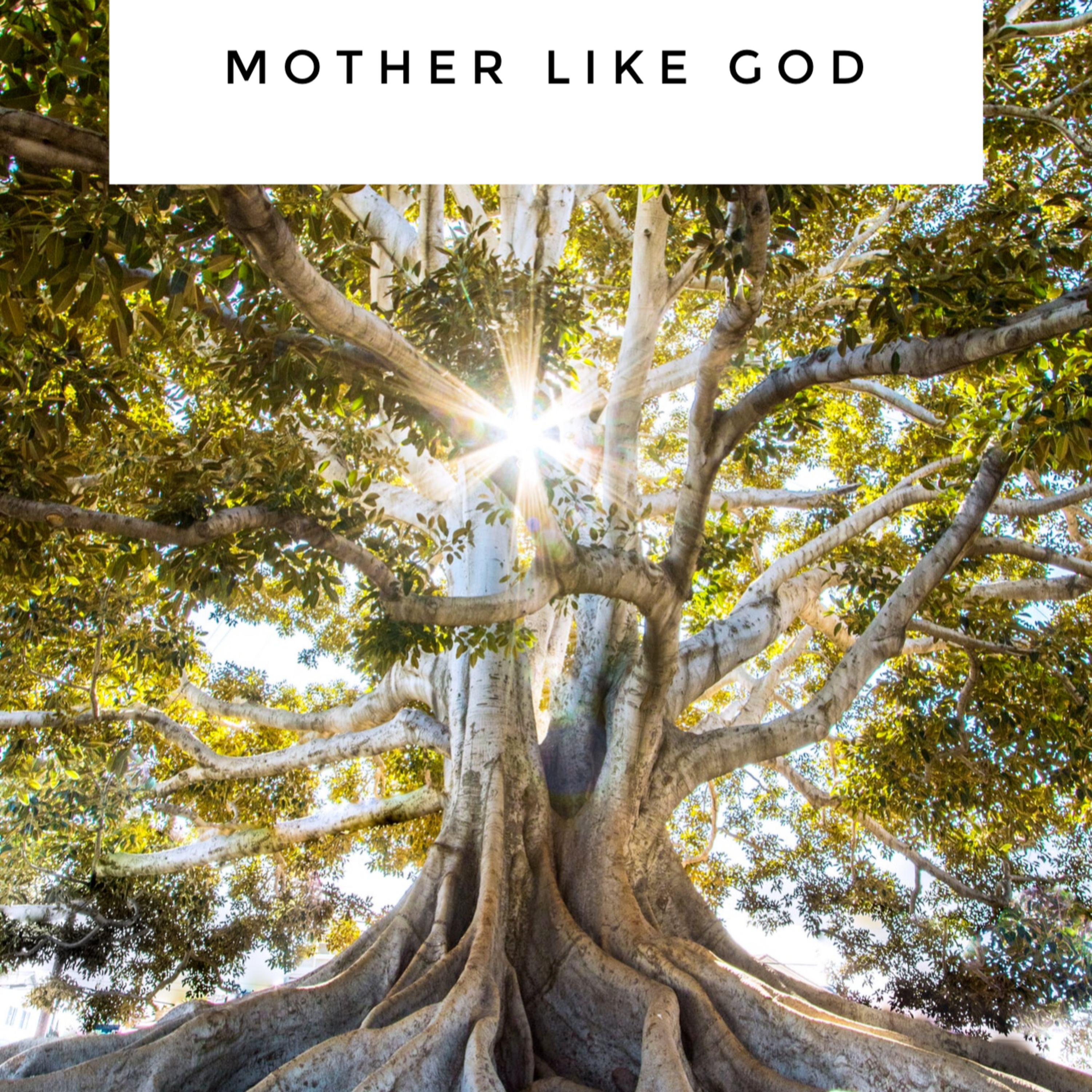 Mother Like God: Matthew 13:33 episode artwork