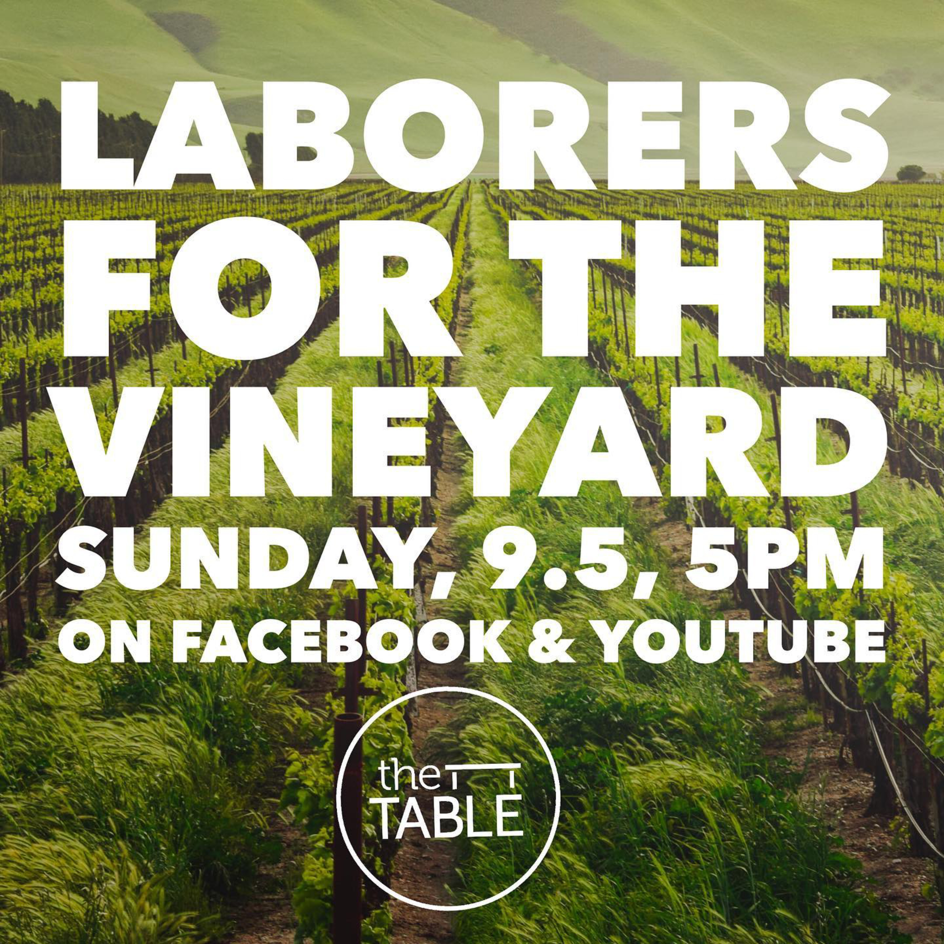 The Laborers in the Vineyard - Matthew 20:1-16 episode artwork