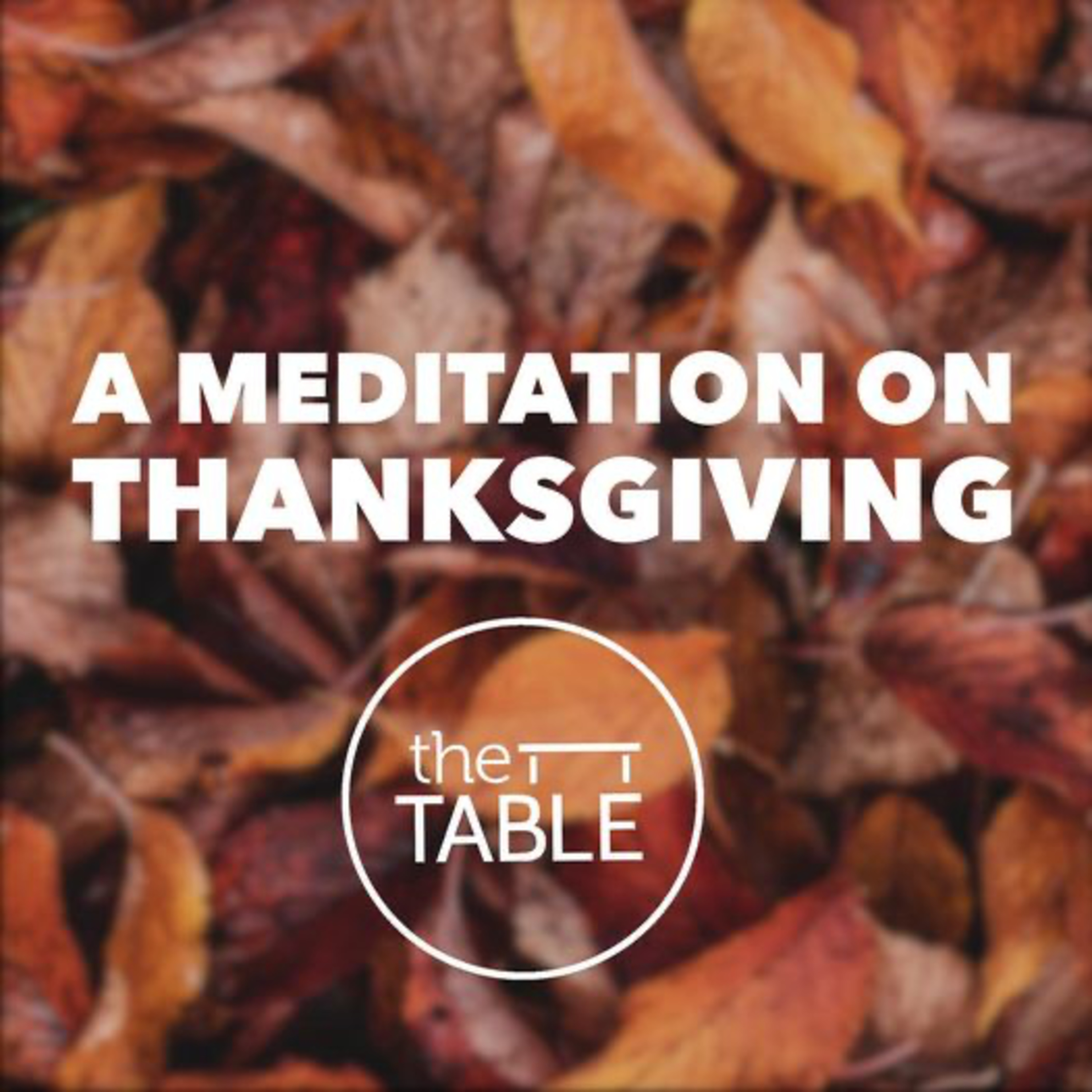 A Meditation on Thanksgiving episode artwork