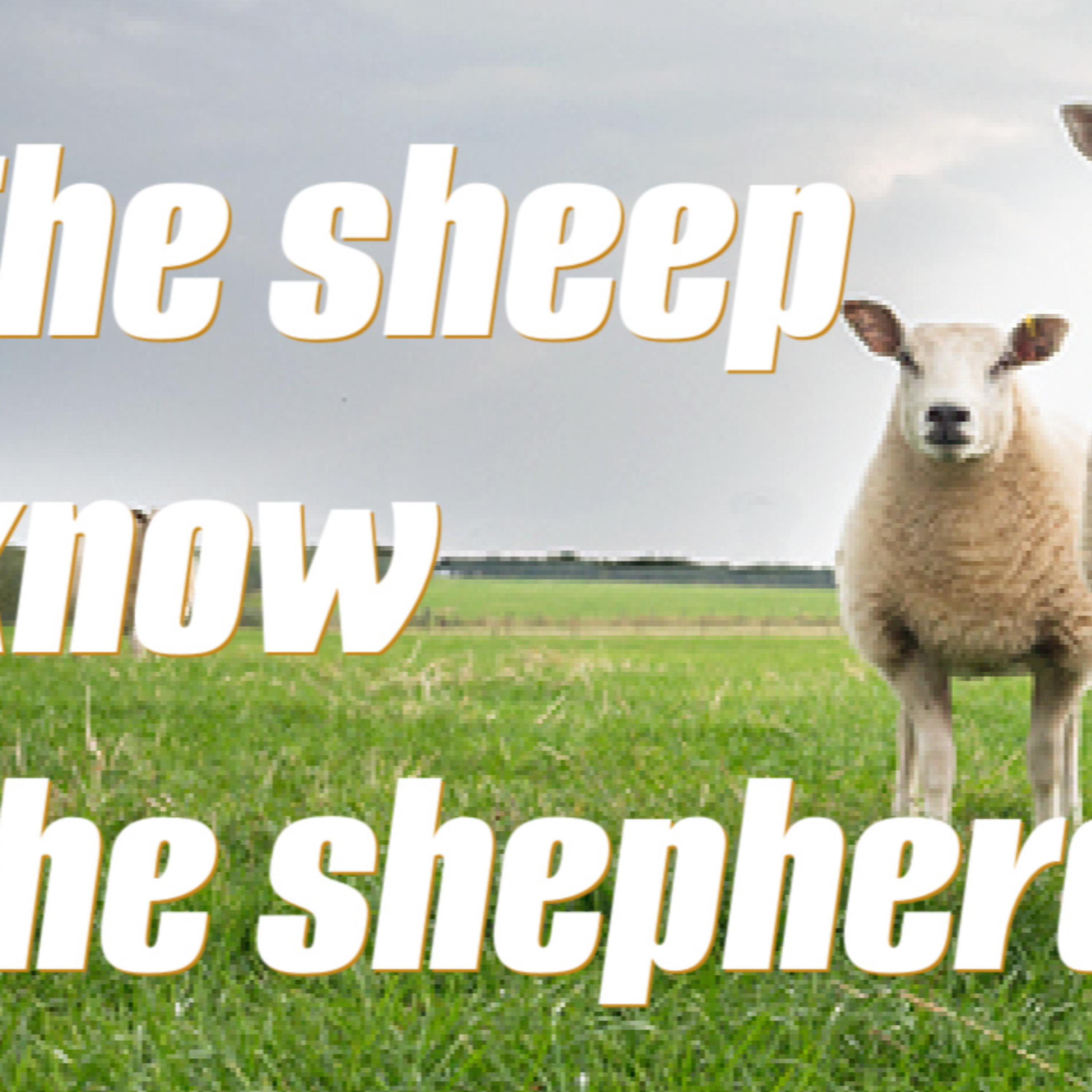 The Sheep Know the Shepherd (John 10:14-19, 21) episode artwork