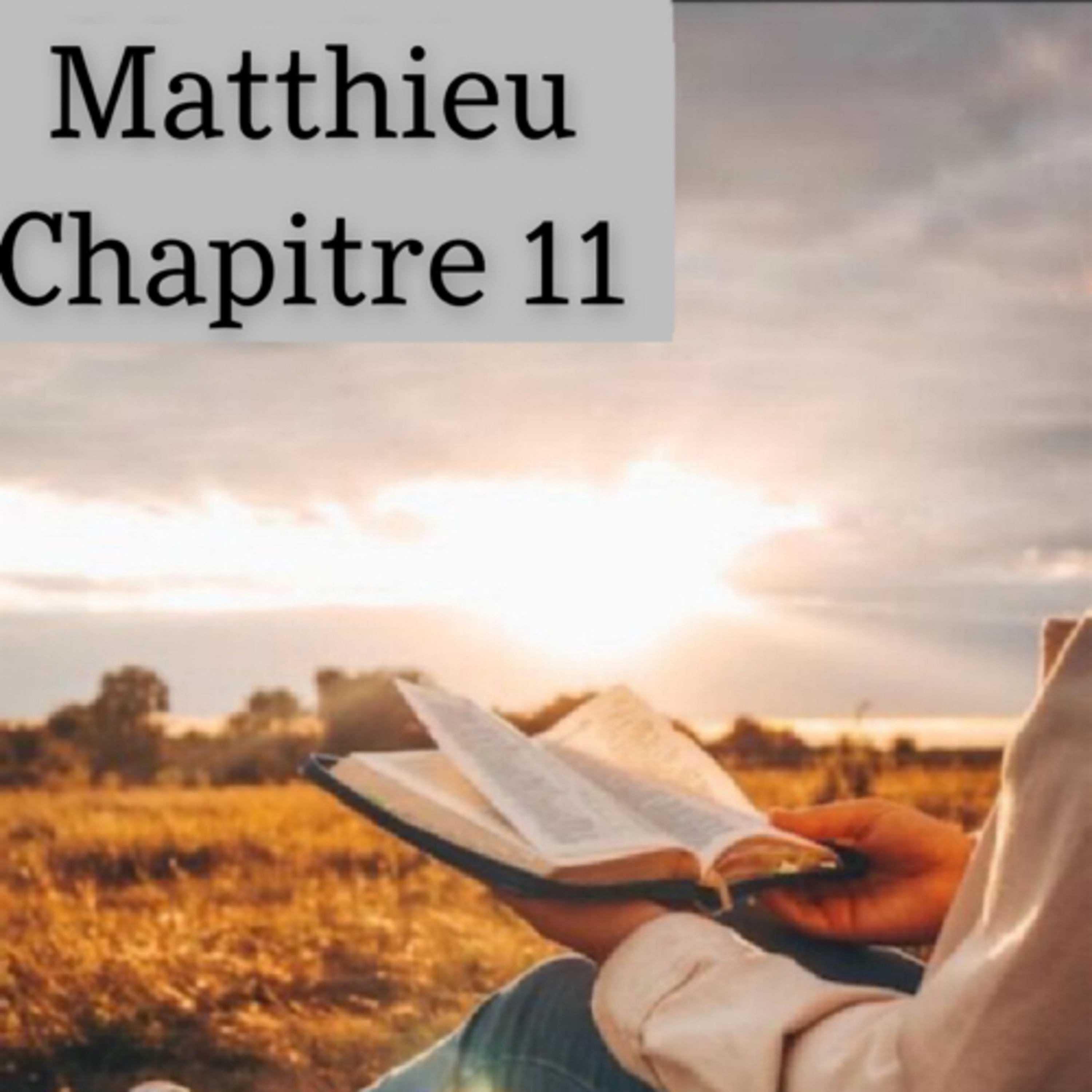 Lecture de la bible. 