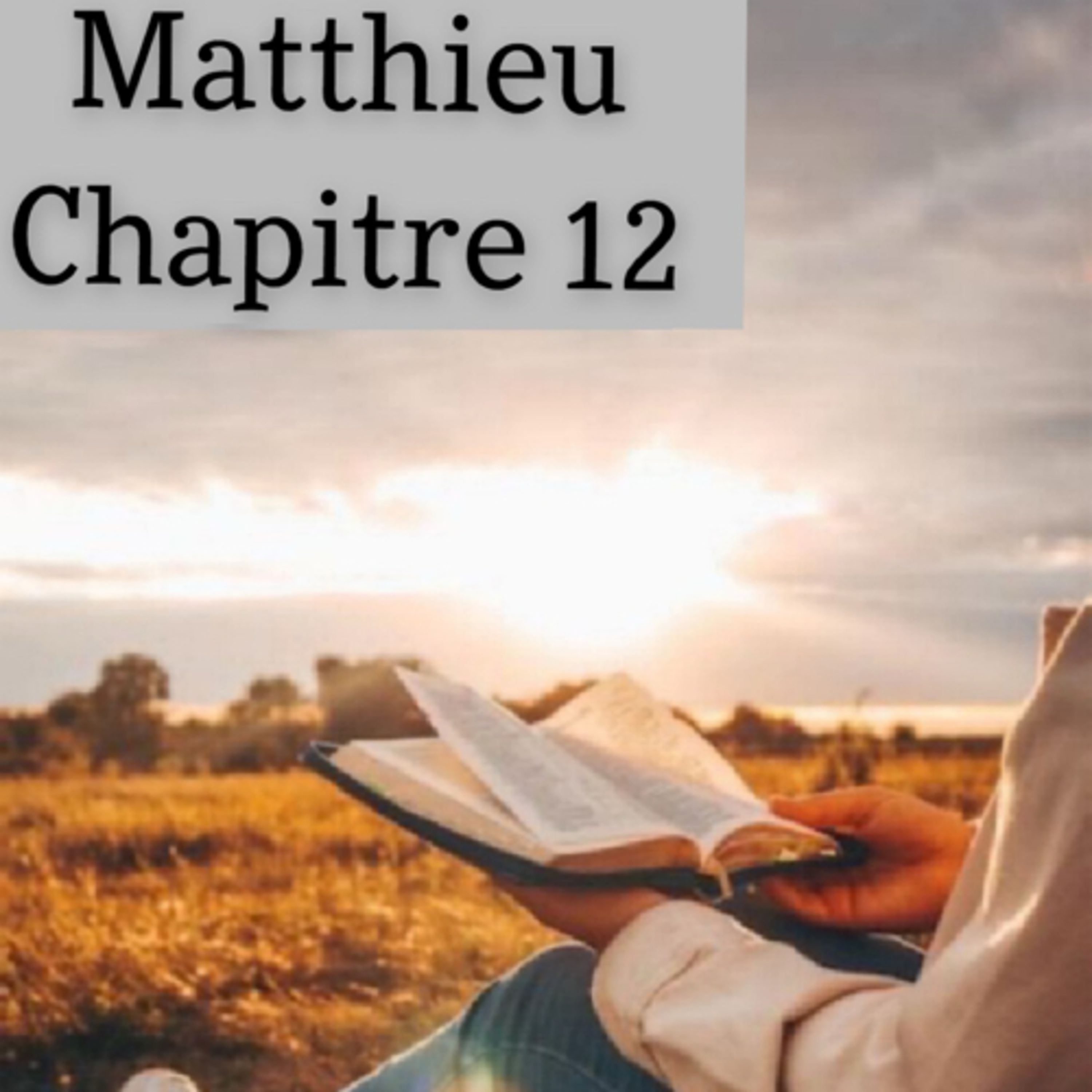 Lecture de la bible.