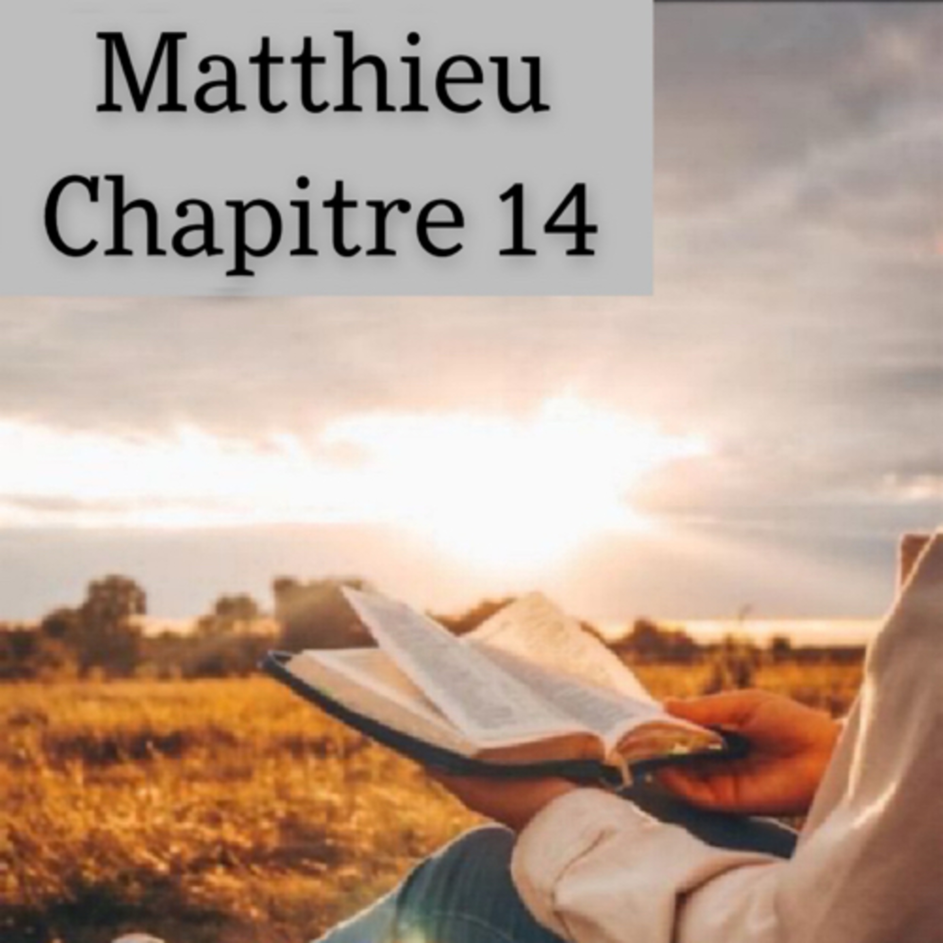 Lecture de la bible.