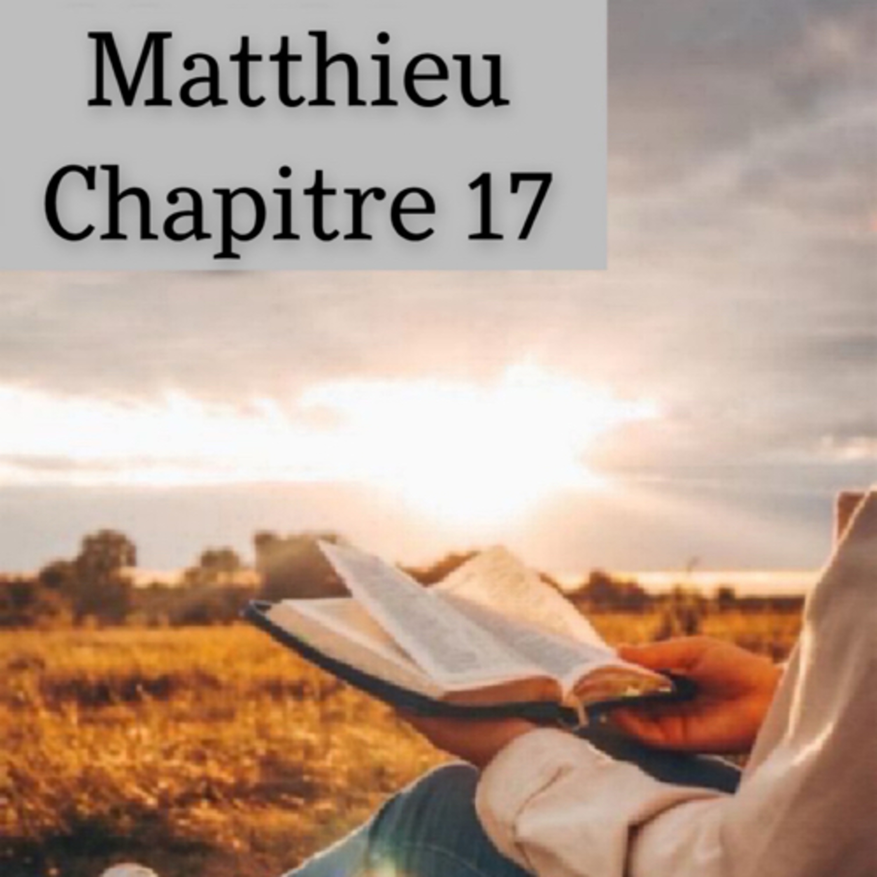 Lecture de la bible. 