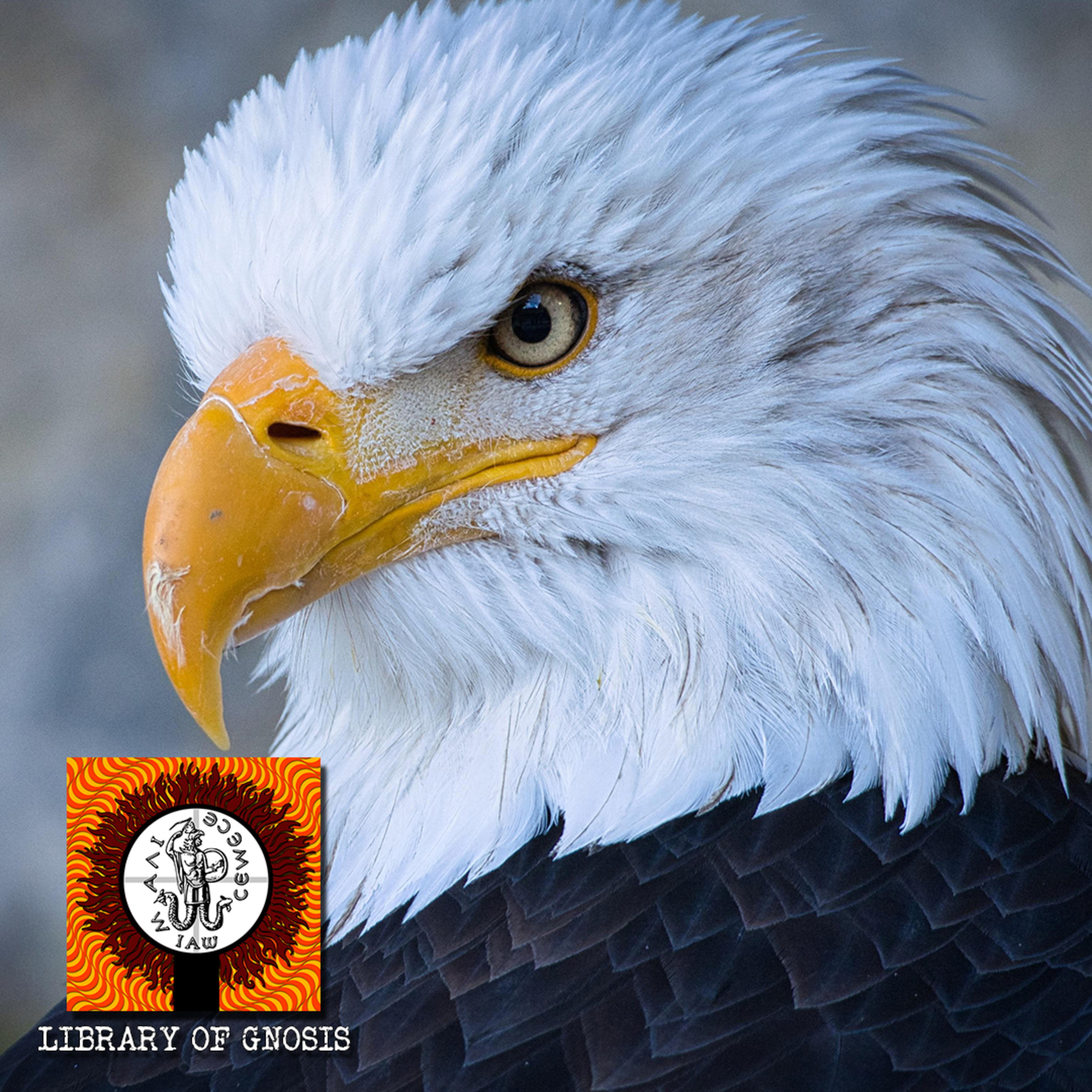 The Scorpion, the Serpent and the Eagle. Astrology and the Mind explored.