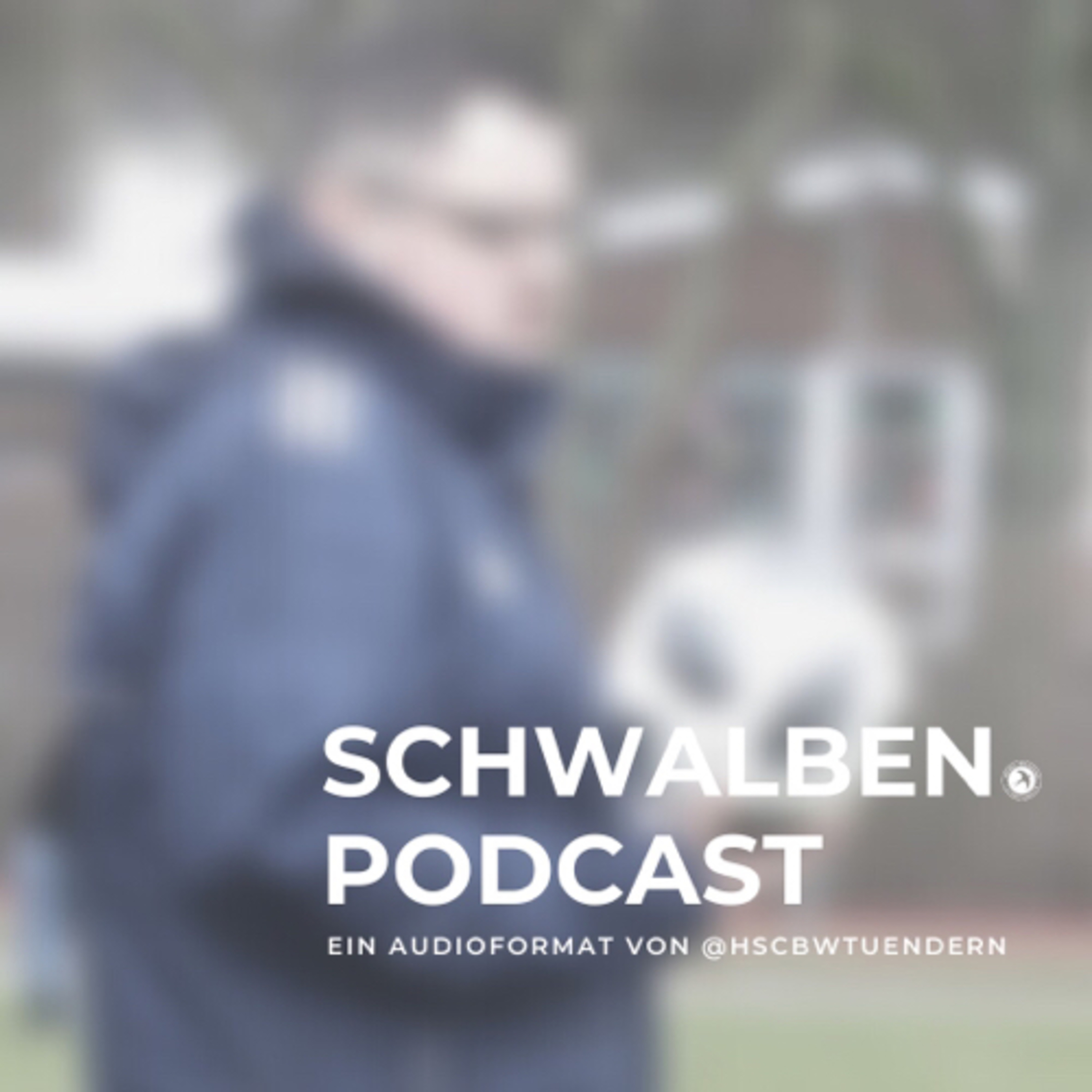 SCHWALBEN.podcast #2: 5 Fragen an Alex Stamm