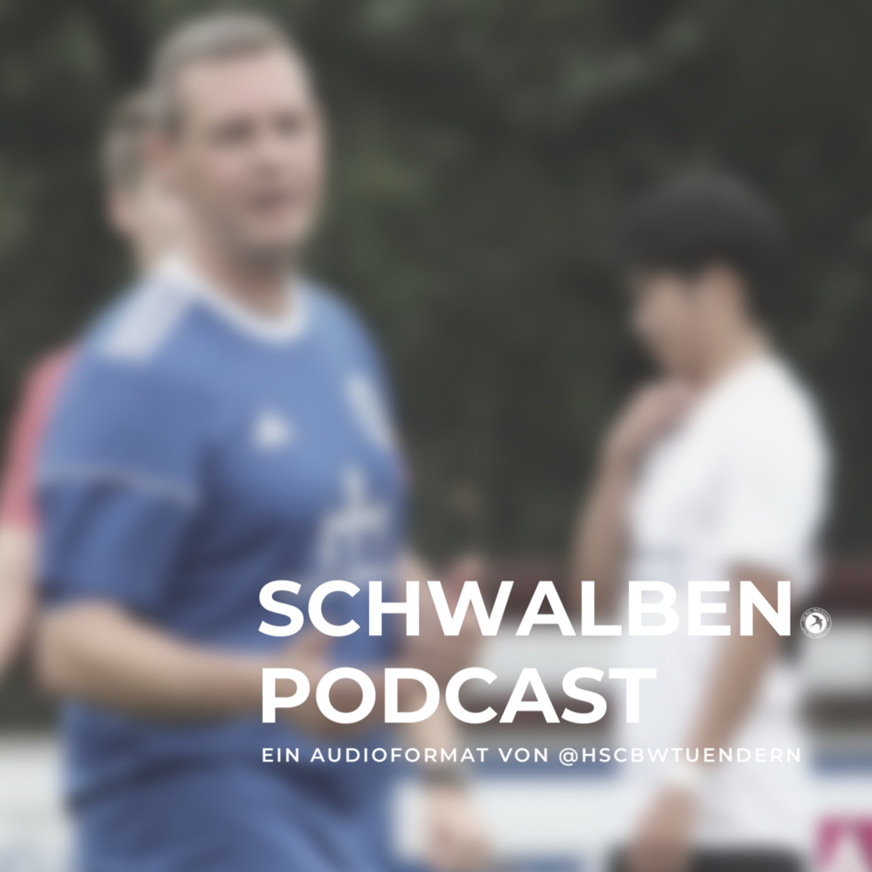 SCHWALBEN.podcast #1: 5 Fragen an Tim Piontek
