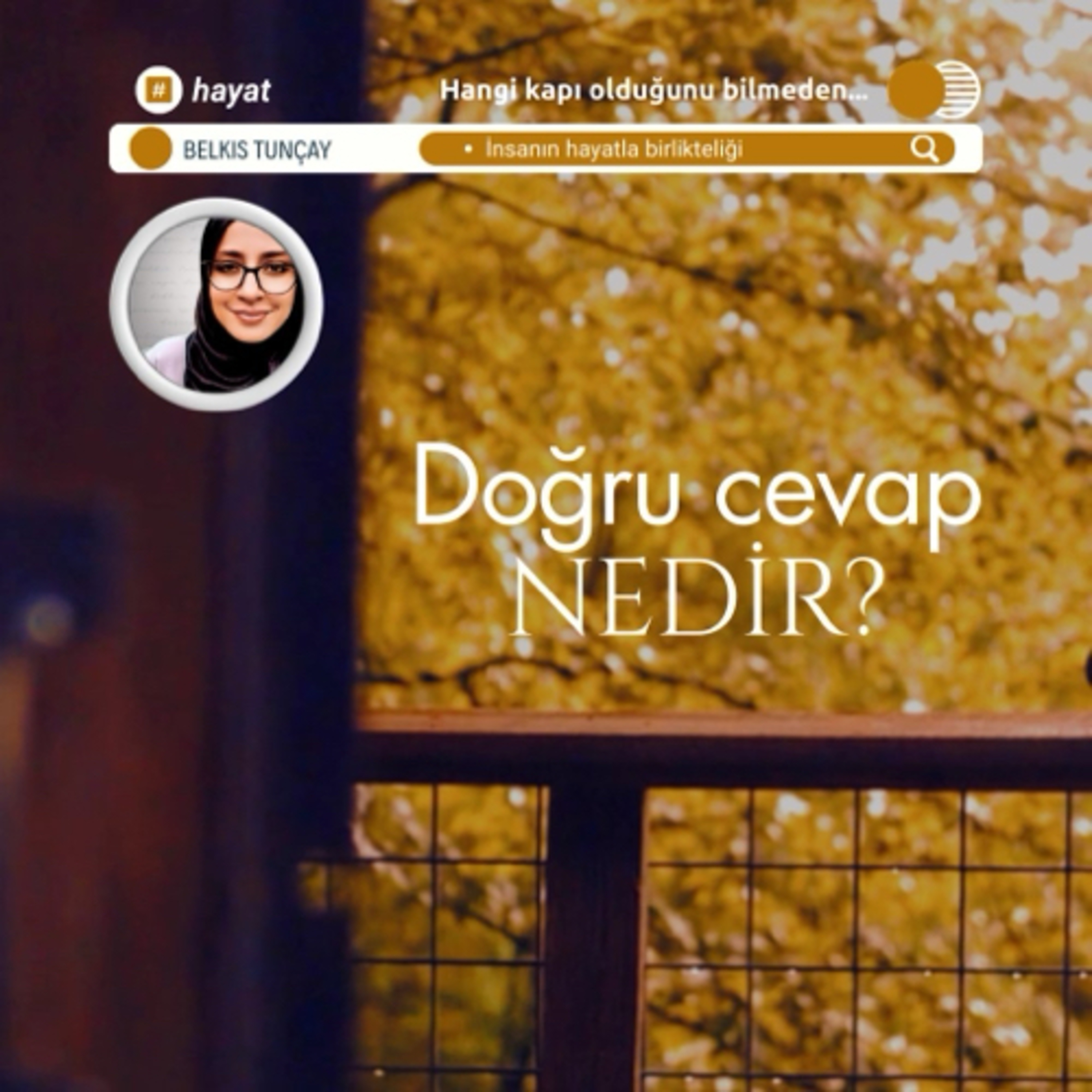 HAYAT NELER ÖĞRETİR SERİSİ