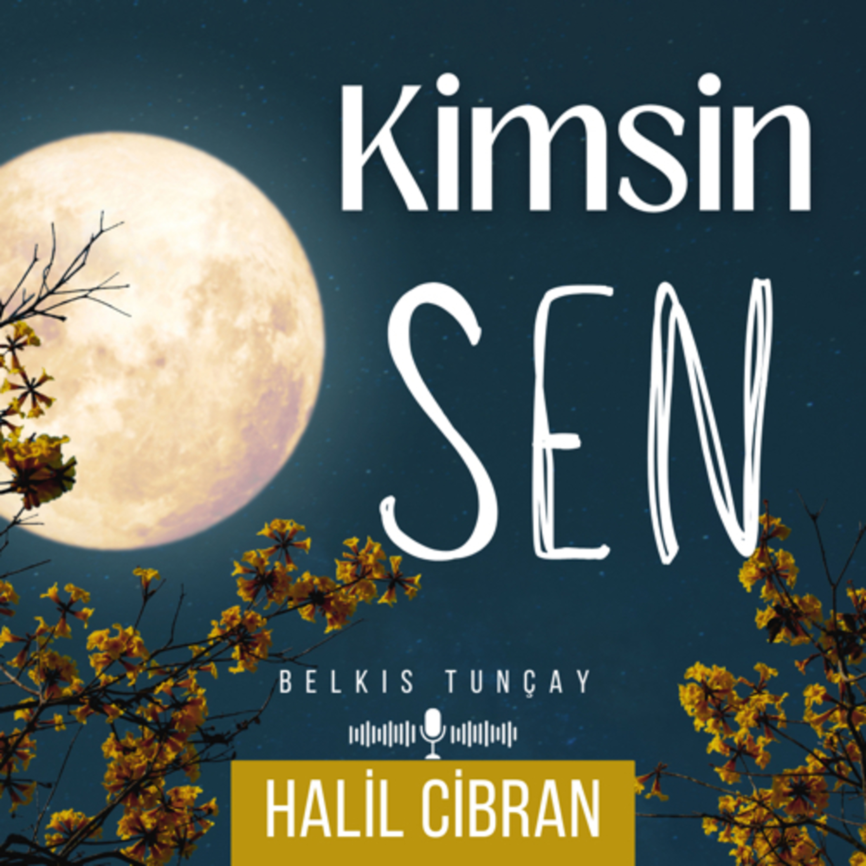 Kimsin Sen - Halil Cibran episode artwork