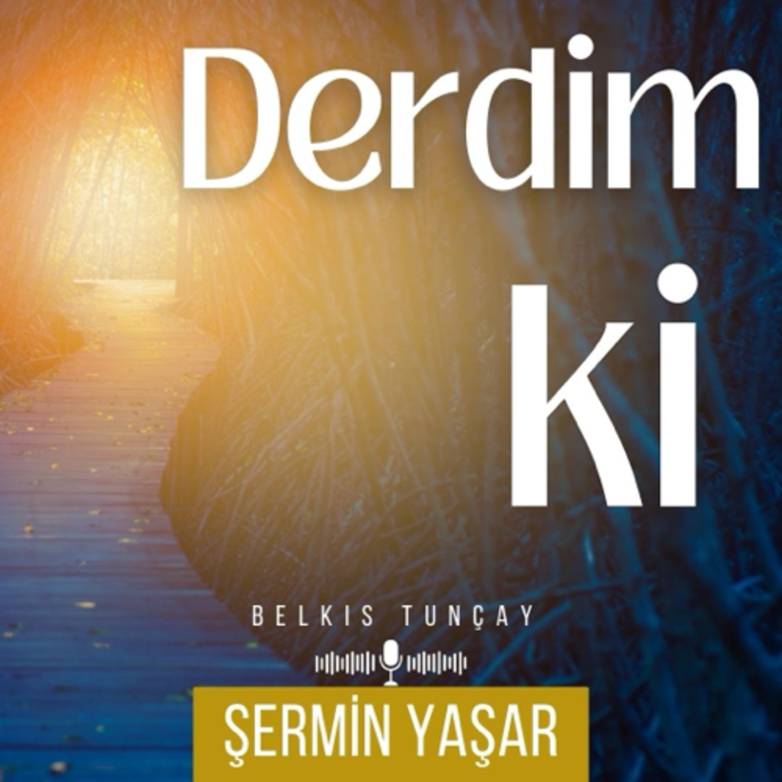 Derdim ki - Şermin Yaşar episode artwork