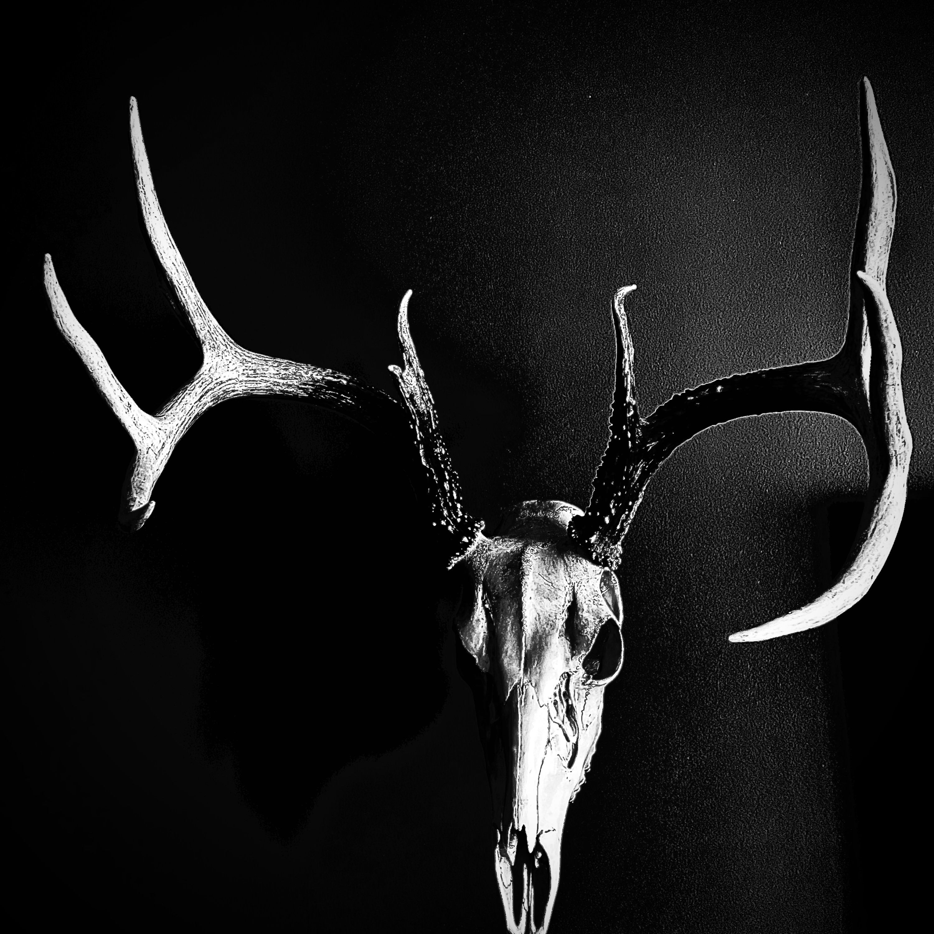Ep.3: New Hunter Profile _ Resiliency