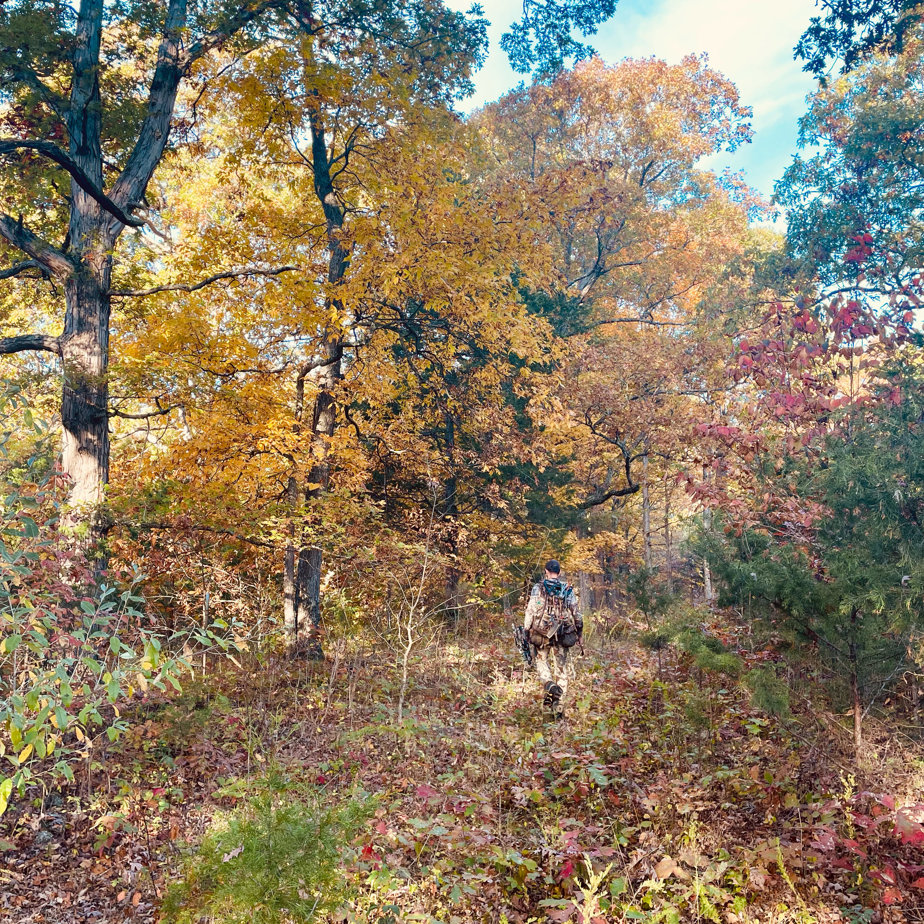 Ep. 7: Part Two_Unfamiliar Territory_Planning Your First Whitetail Adventure Hunt