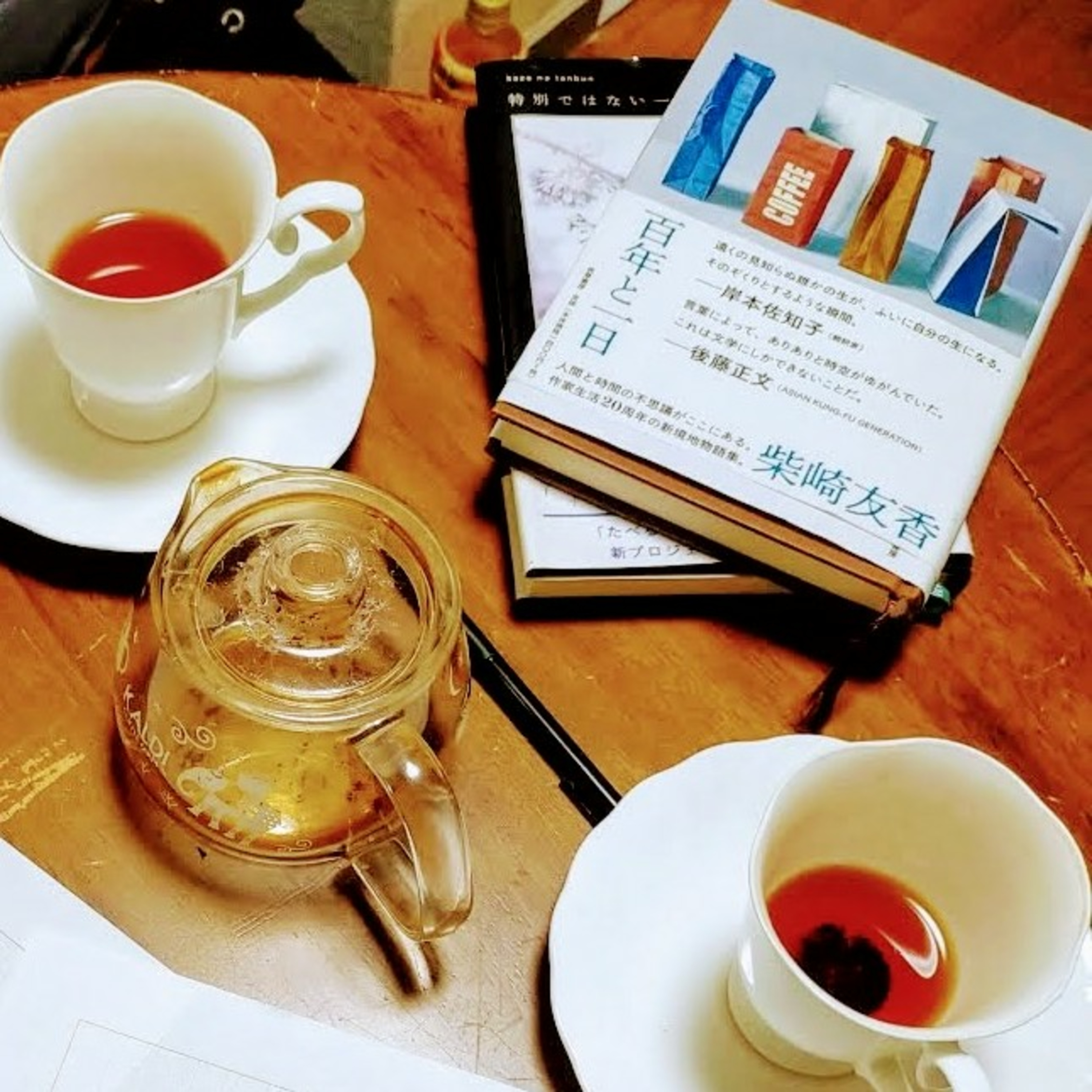 #14 かつて同じ街に住んで同じ授業を受けていた三人が、今は別々の街に住んでいて、別々の暮らしをしながら同じ本を読んで、同じような別々のことを考えた話/柴崎友香『百年と一日』 episode artwork