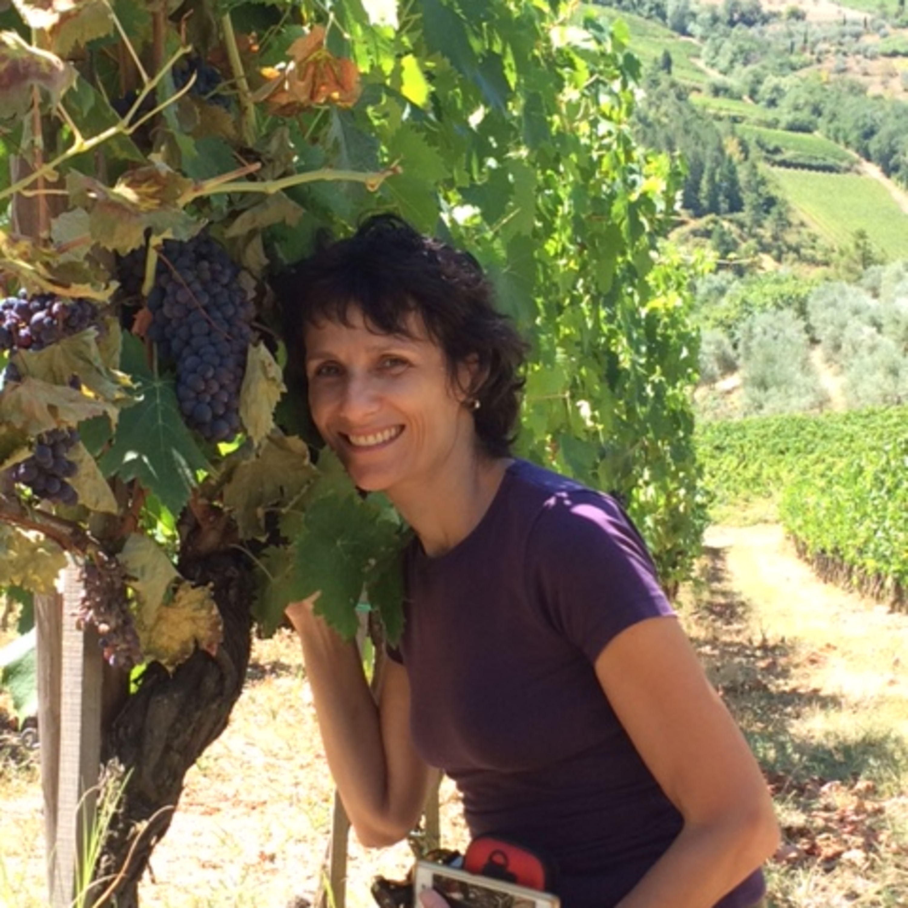 Vinhos etc by Míriam Aguiar