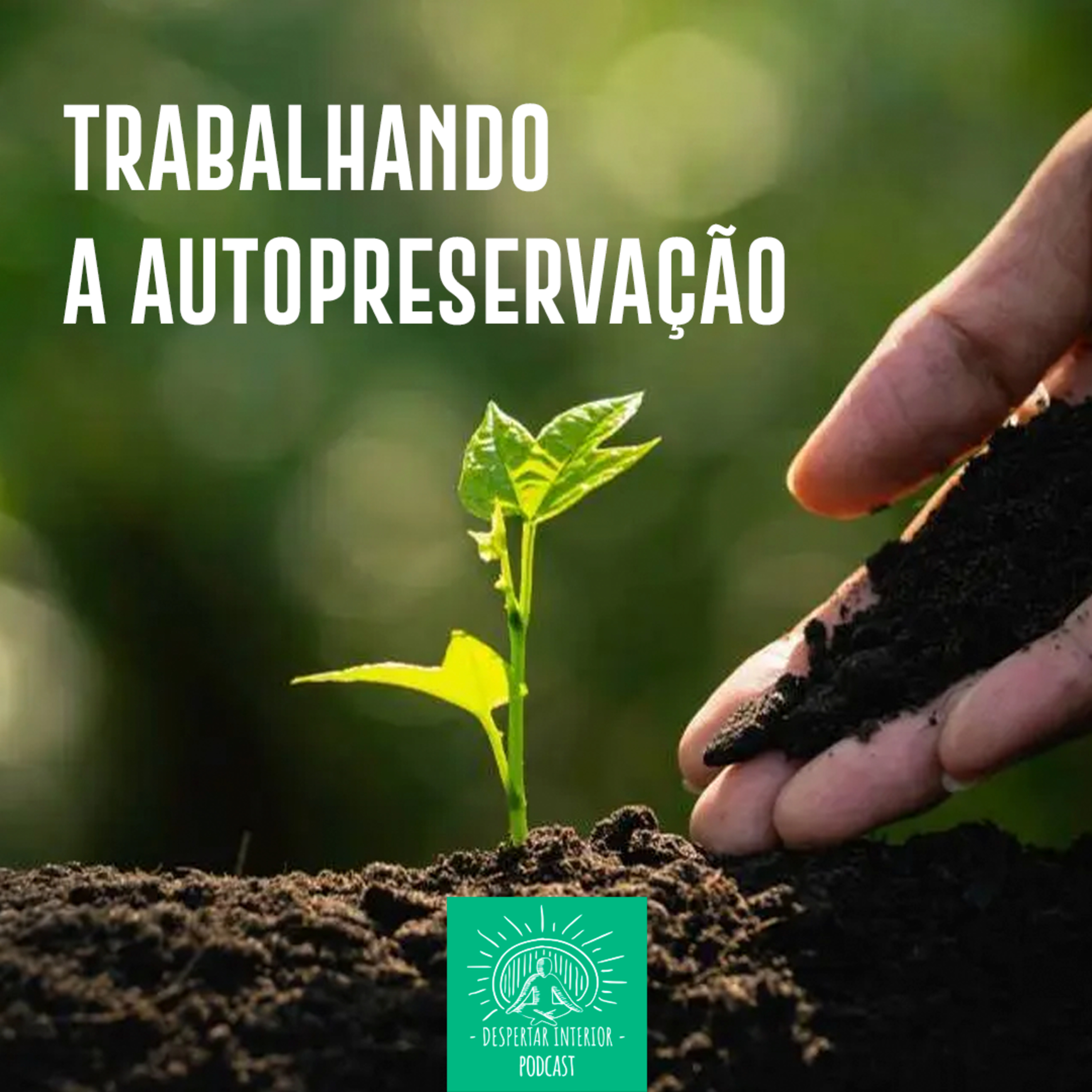 Despertar Interior - Meditação simples e sem tabus