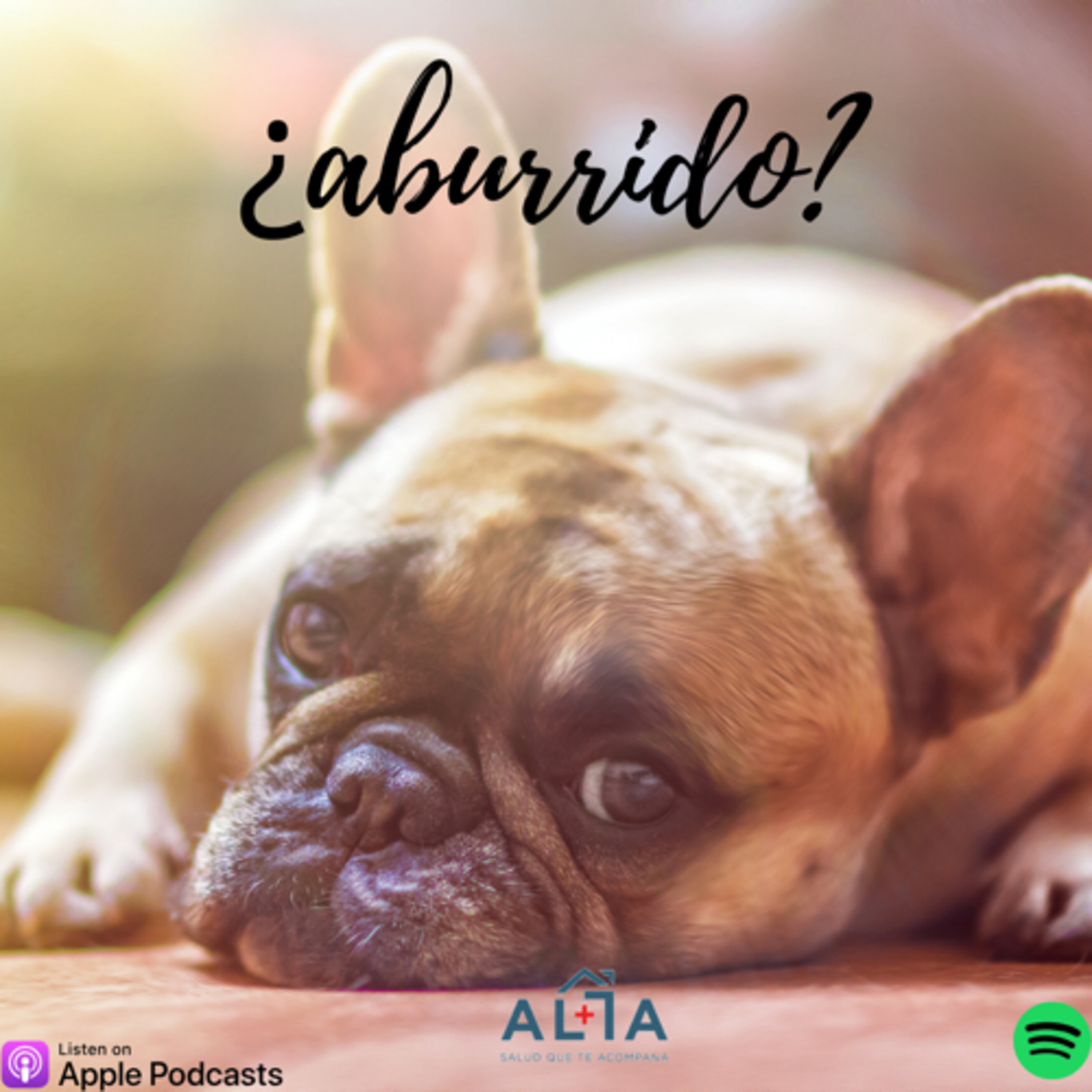 5 tips para esta cuarentena  episode artwork