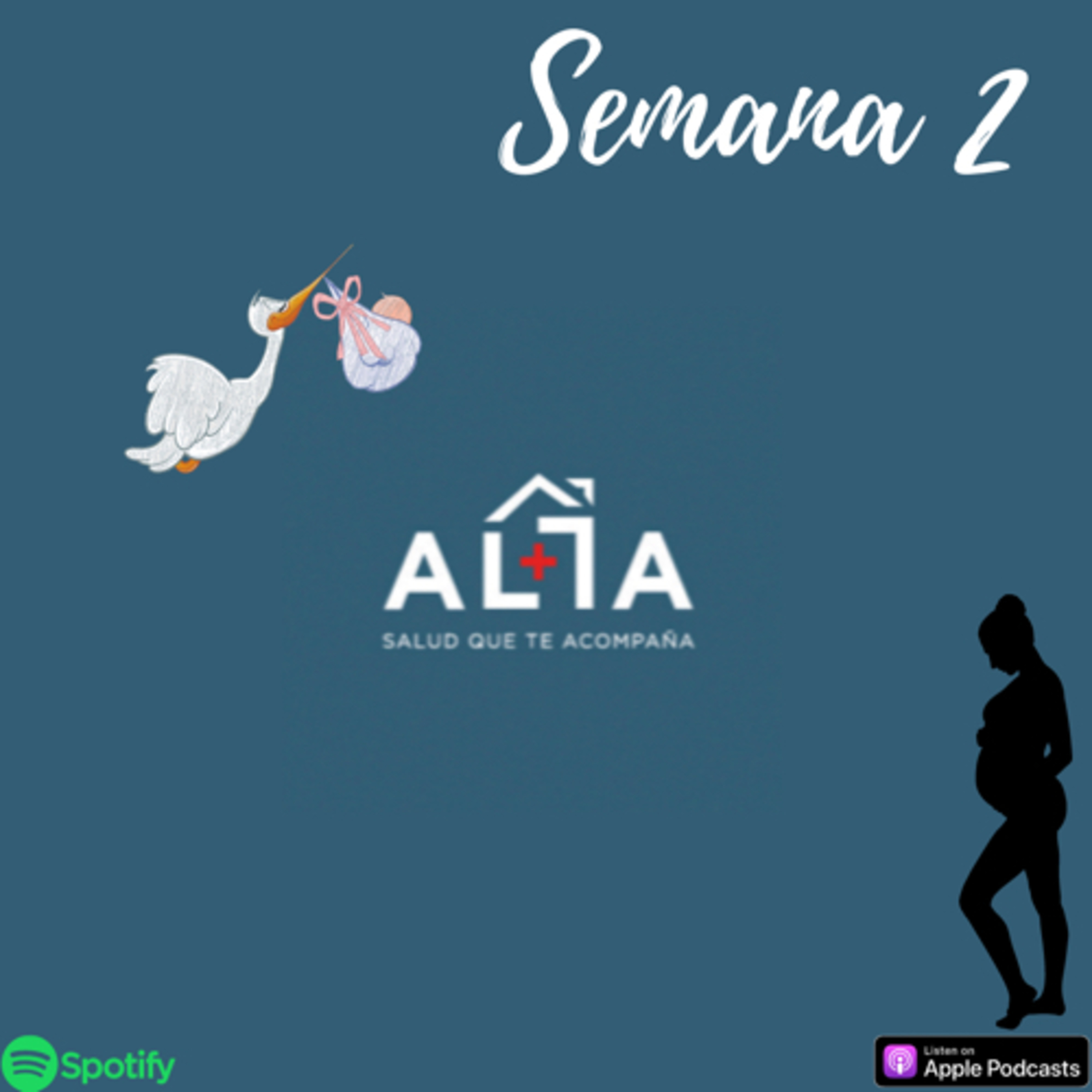 Semana 2  episode artwork