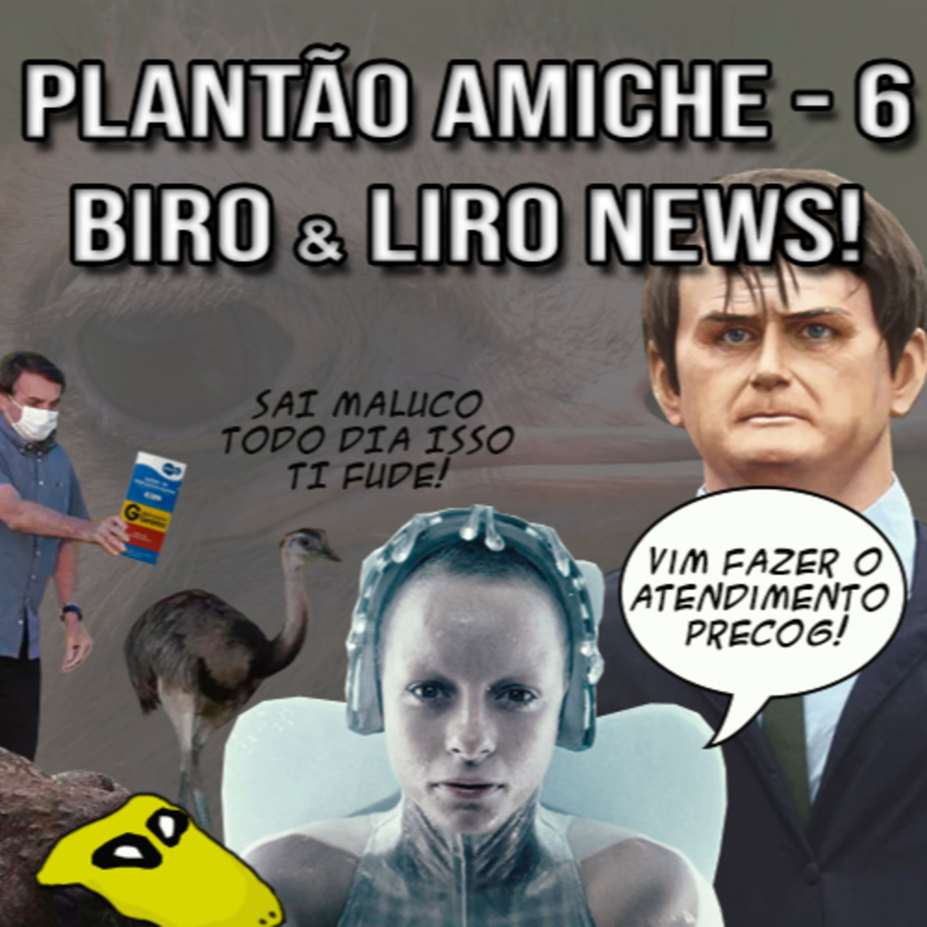 Plantão Amiche 6 - Biro & Liro News