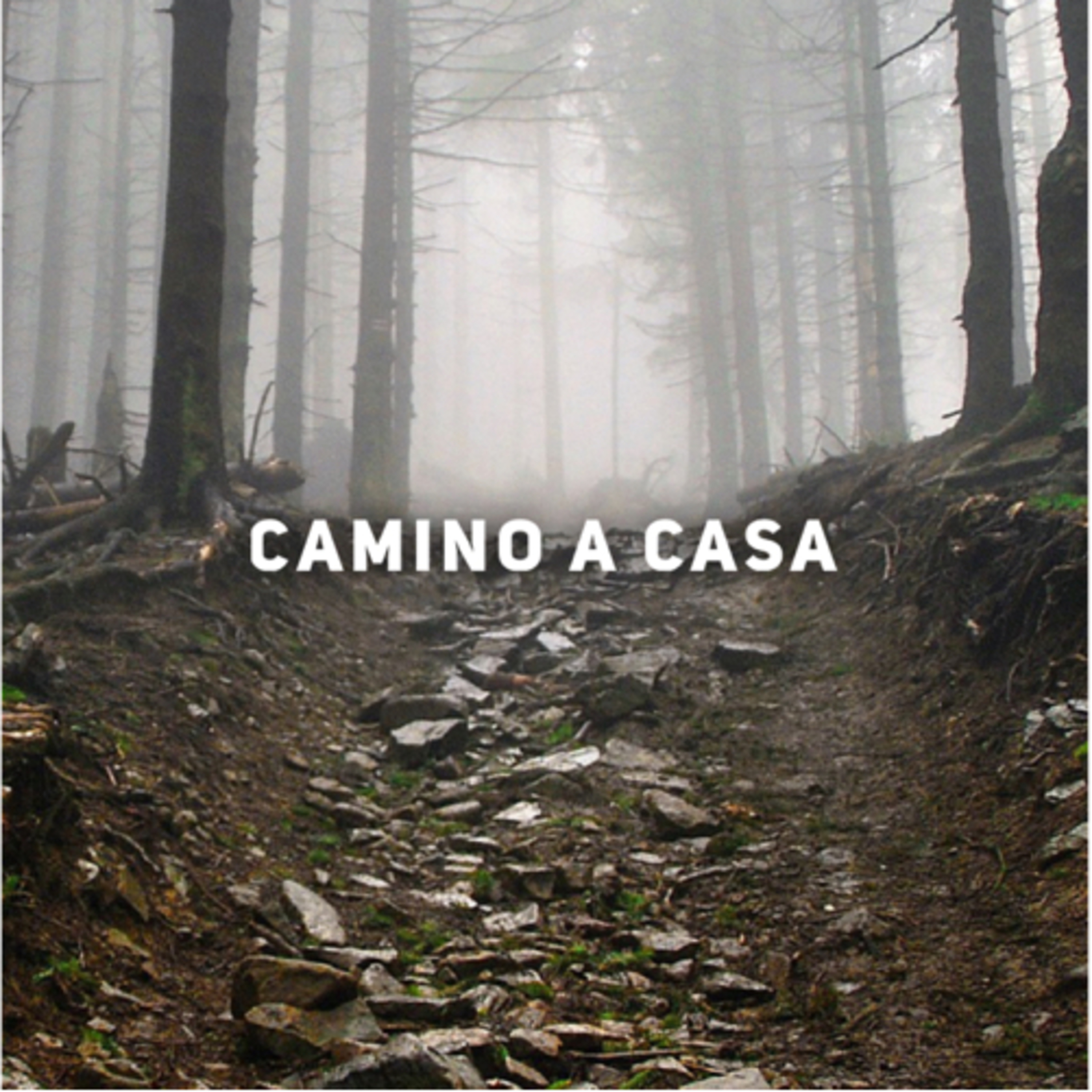 Portada de Ema Picone