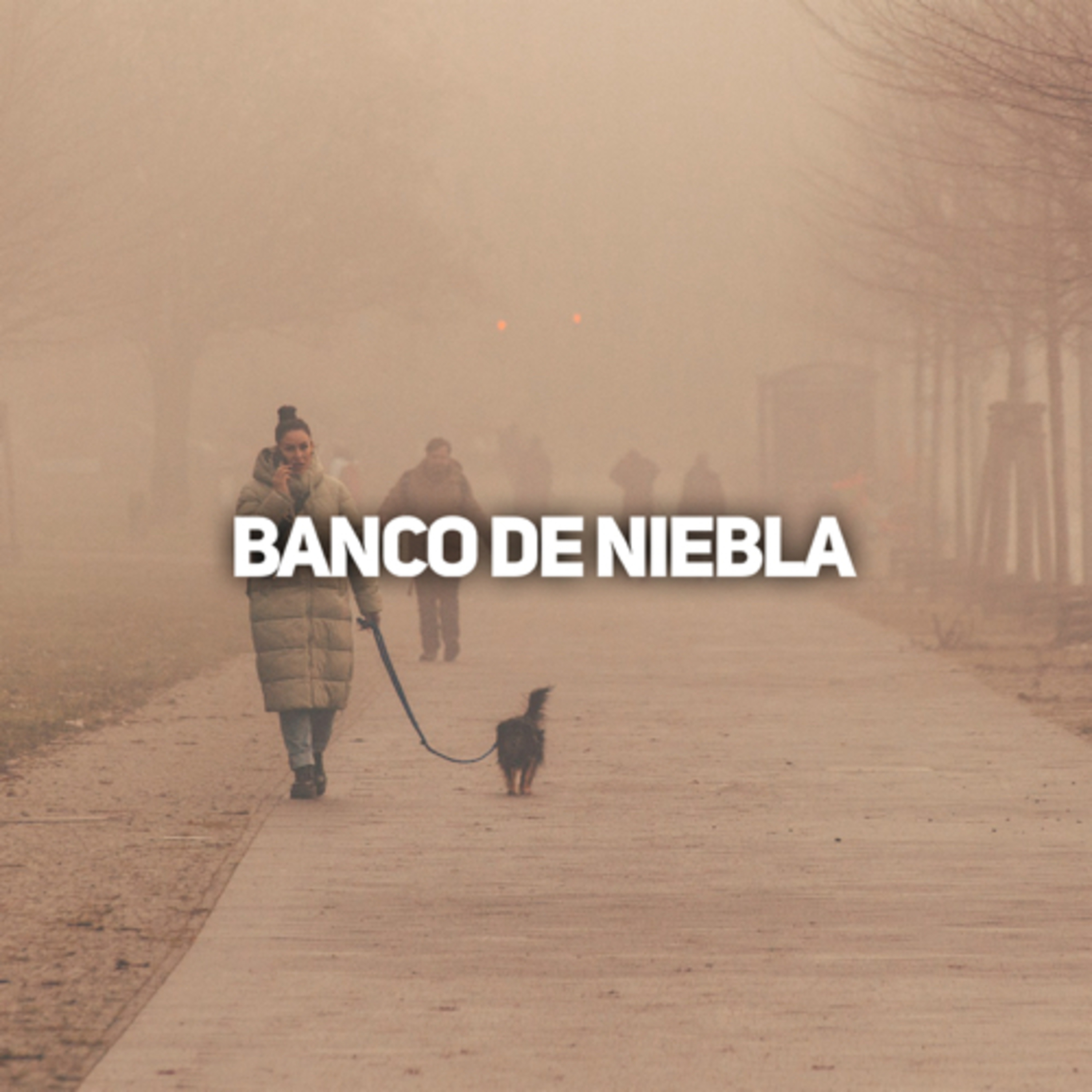 Portada de Ema Picone