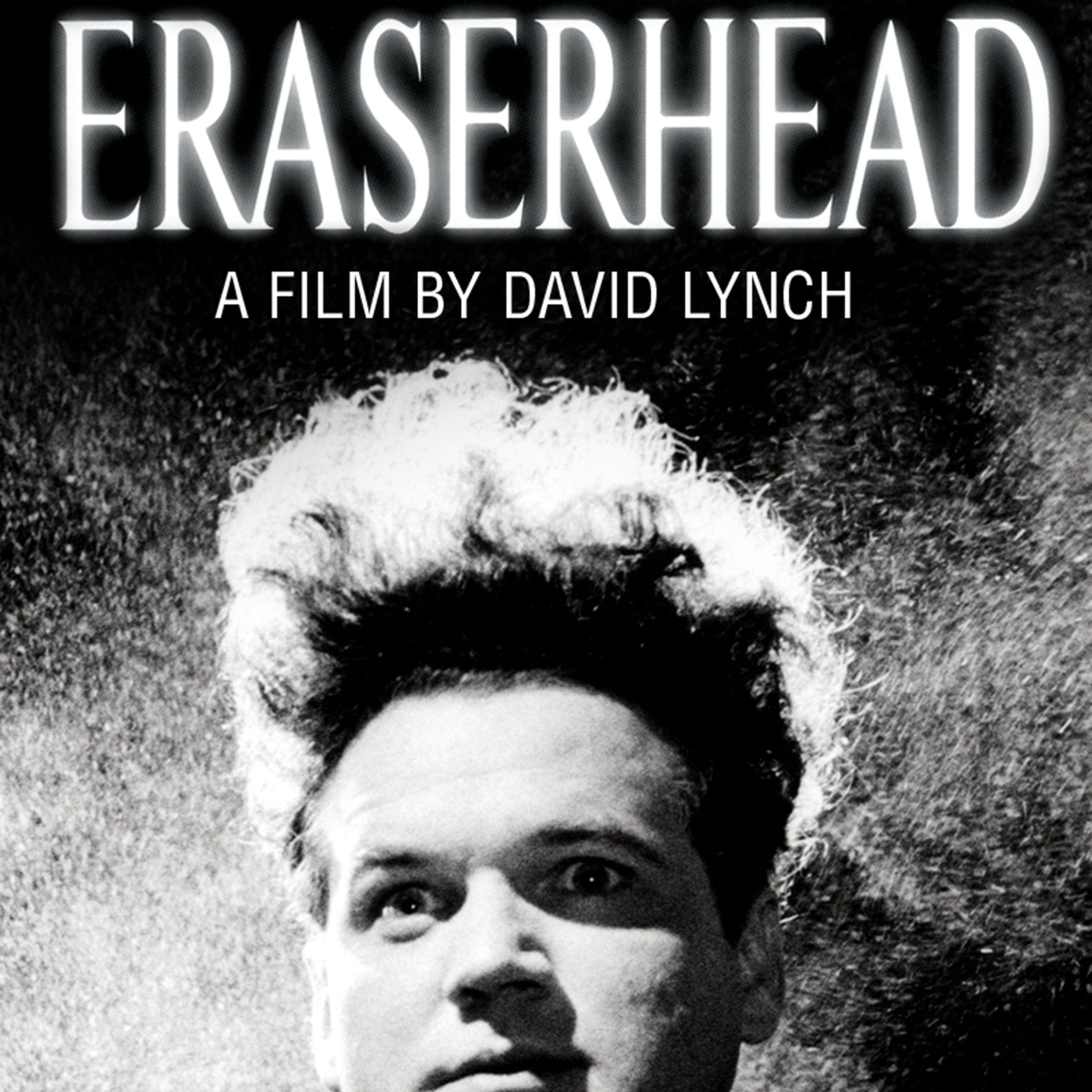 The Box Office Bears Movie Podcast