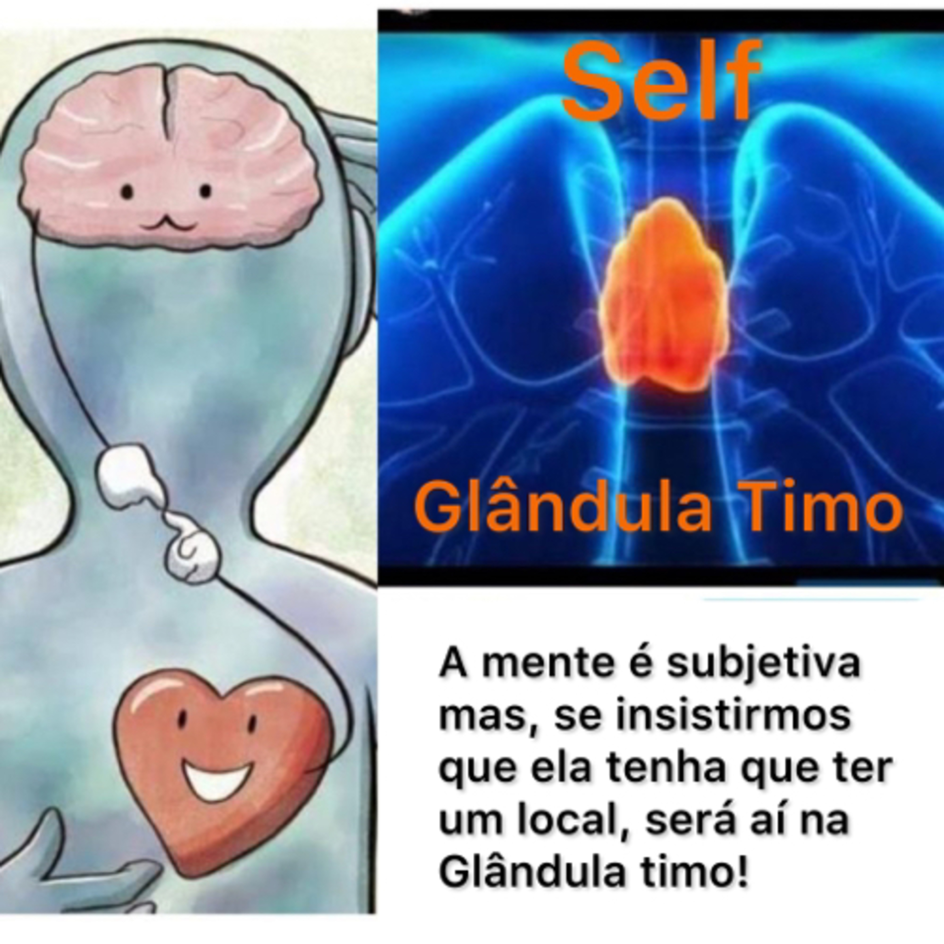 Norma Melhorança