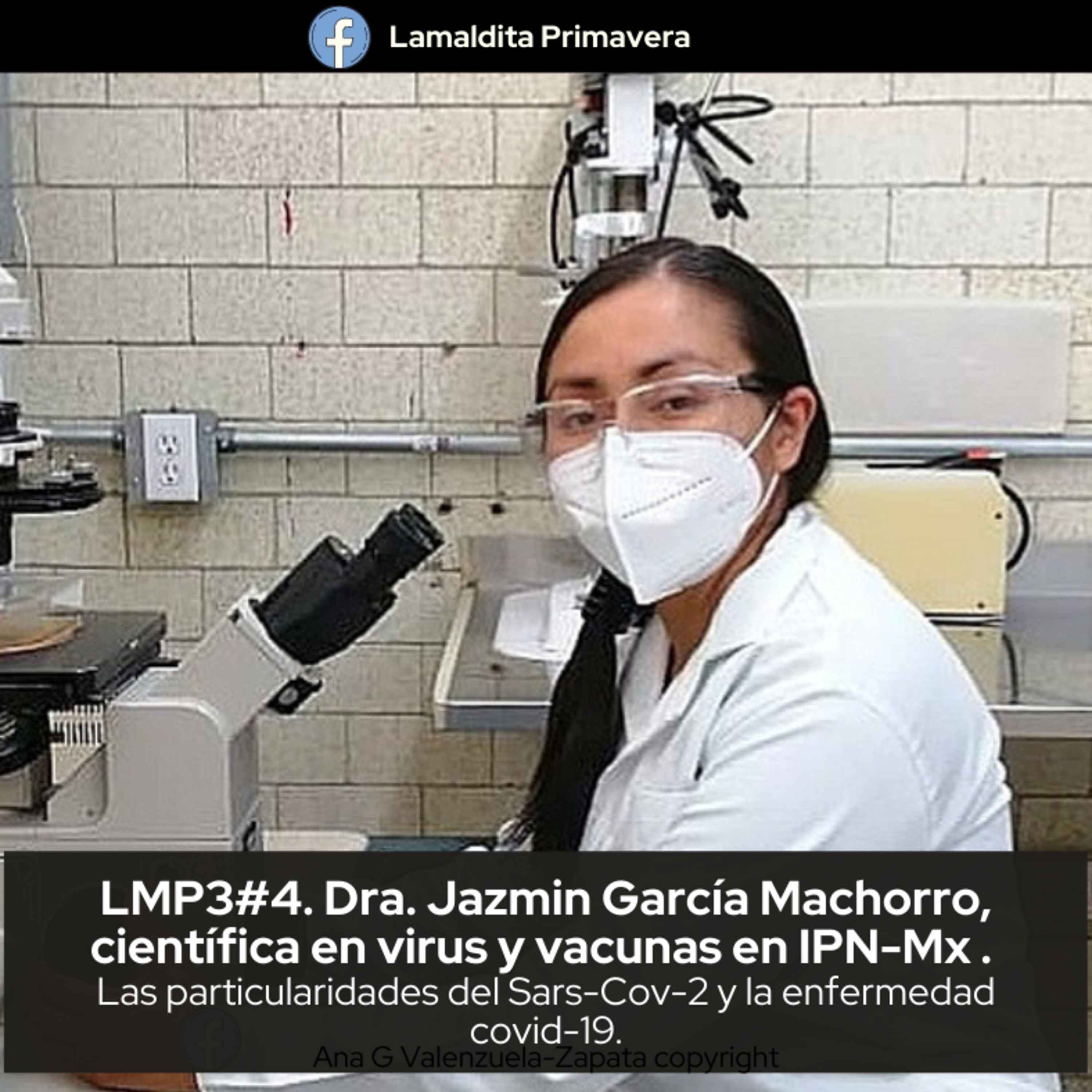 La Maldita Primavera 2020. #cienciaporcientíficas en #COVID-19 #scicomm #LMP #cienciaciudadana