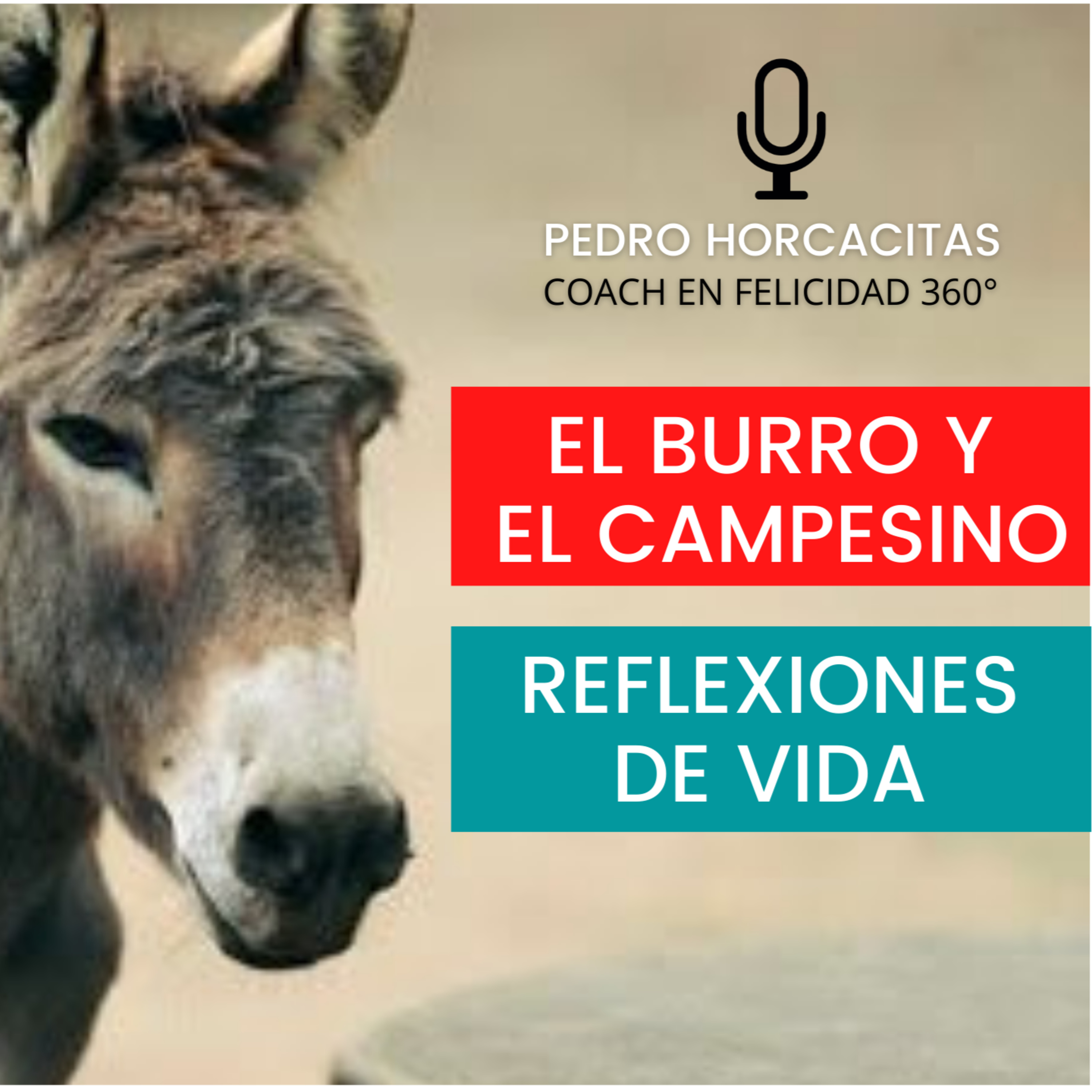 Meditaciones Guiadas con Pedro Horcacitas