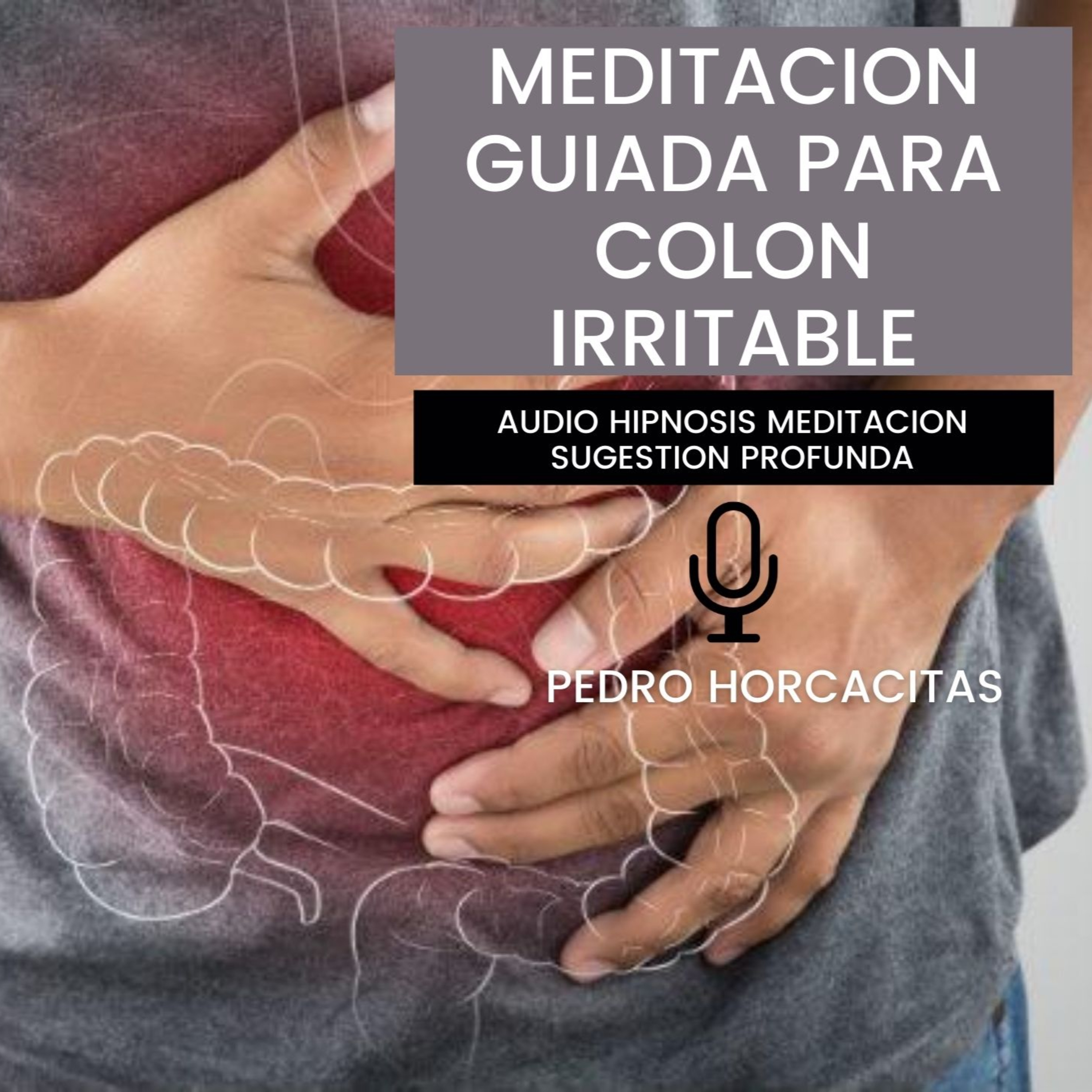 Meditaciones Guiadas con Pedro Horcacitas