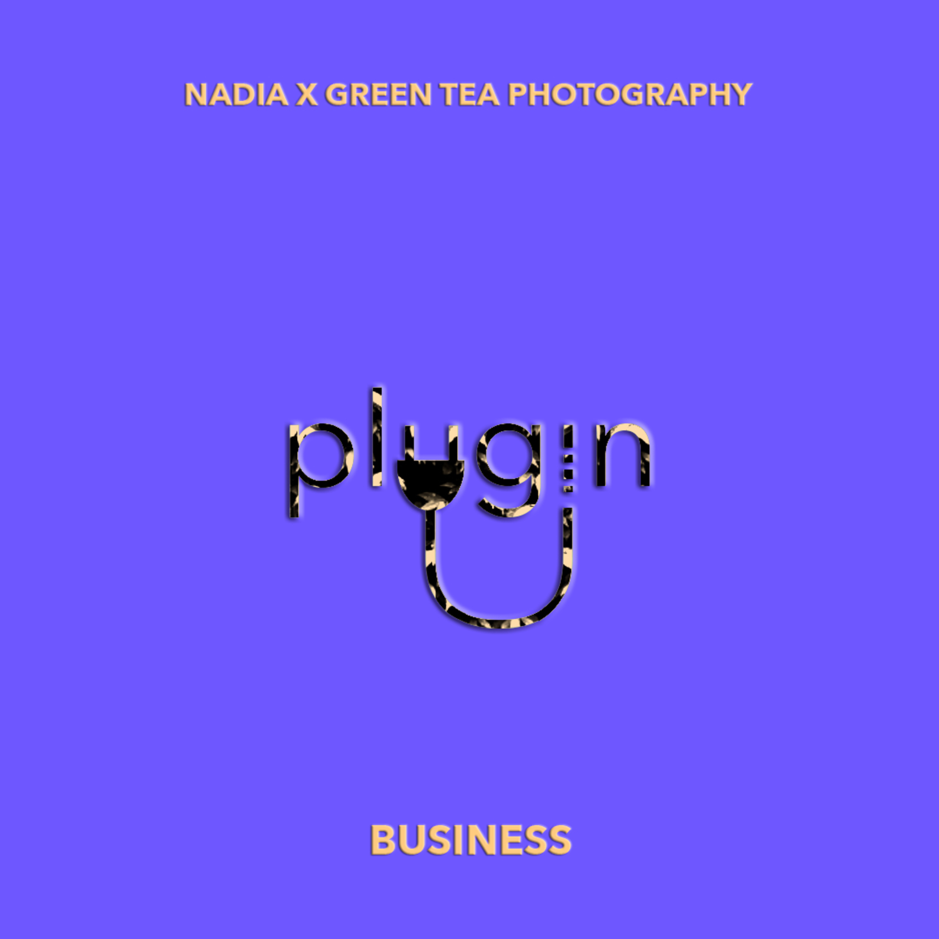 PLUGIN PODCAST