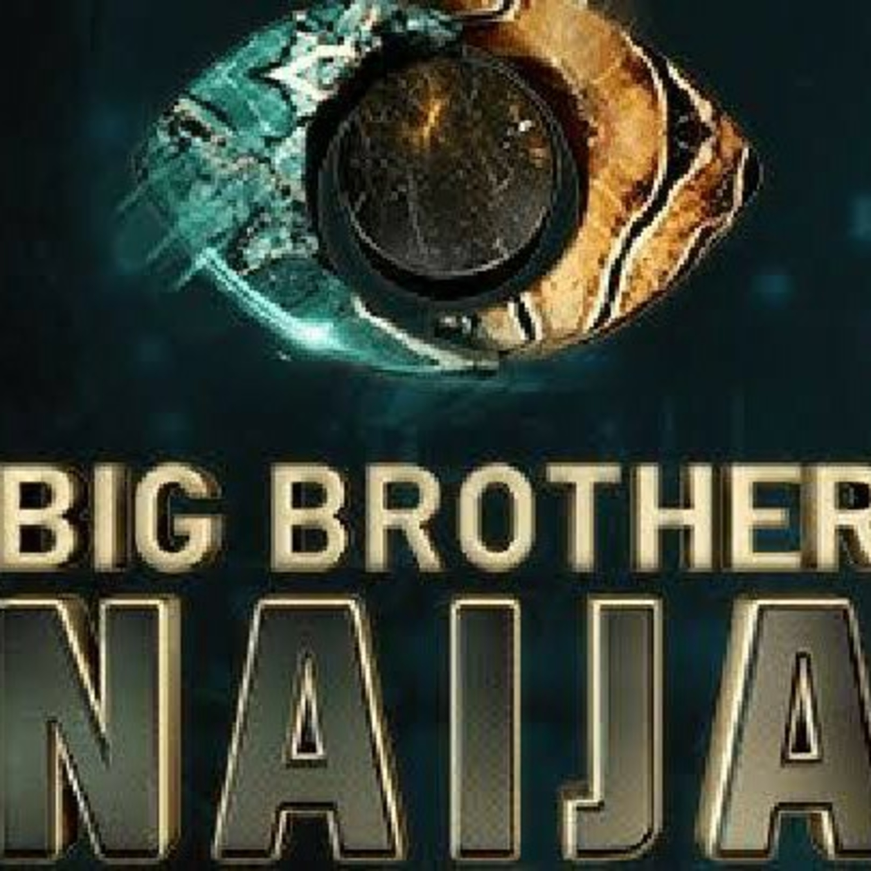 Big Brother Naija (BBNaija) unveils plans for its much awaited 9th season. episode artwork