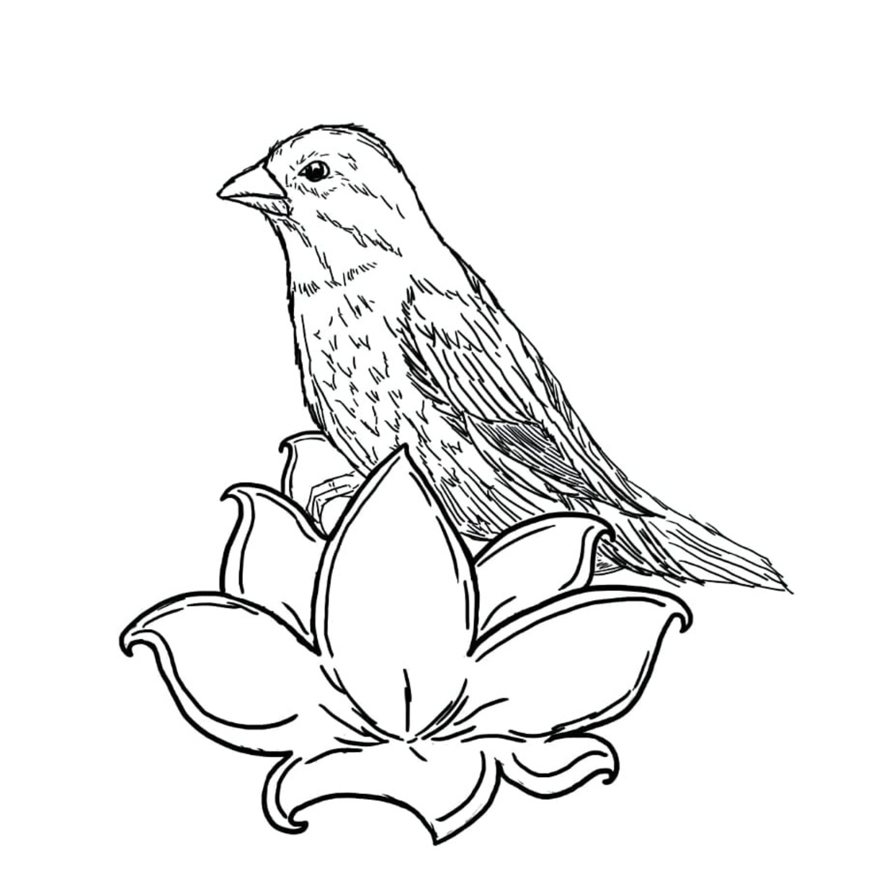 Kelas Daring Sraddha Institute