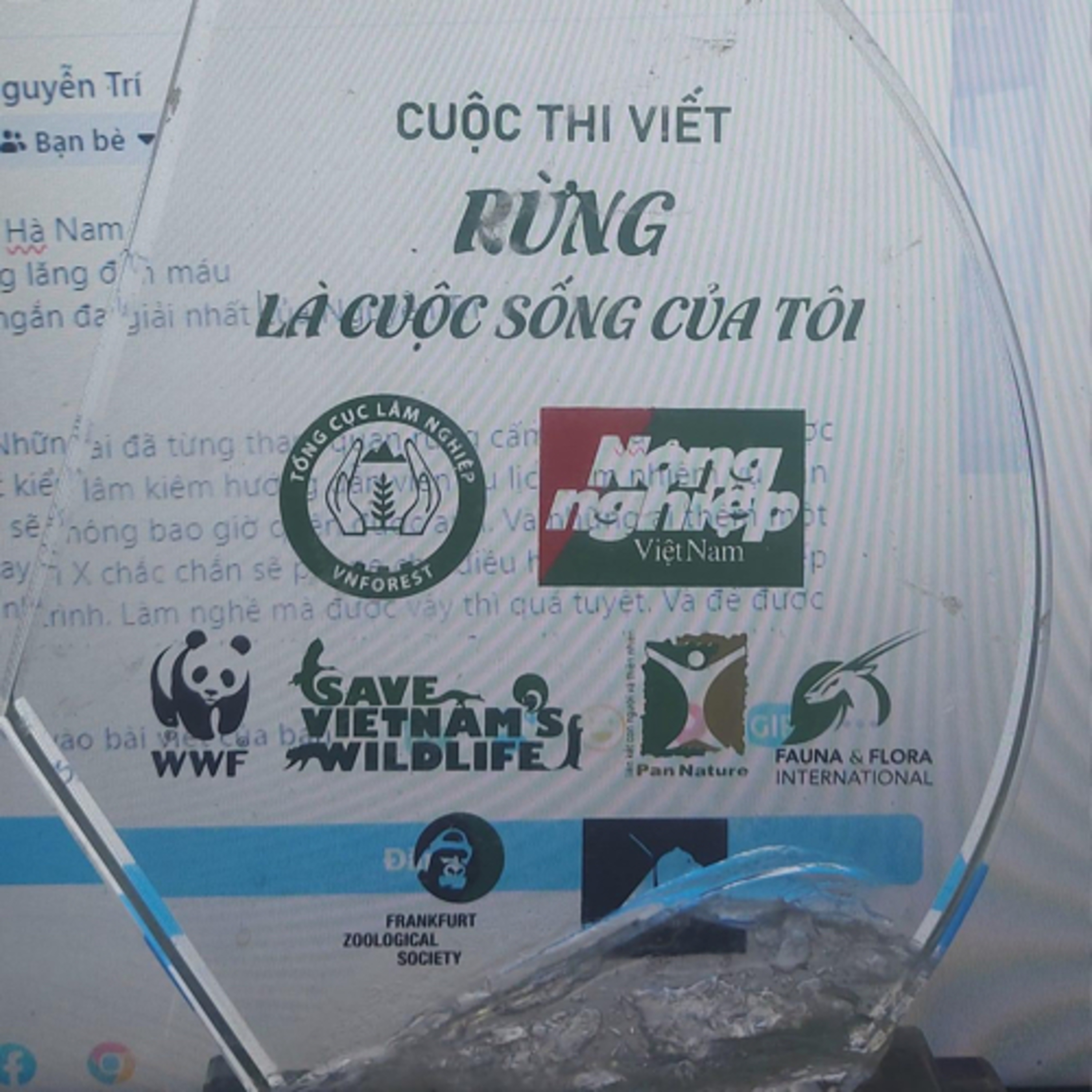 Trần Hà Nam