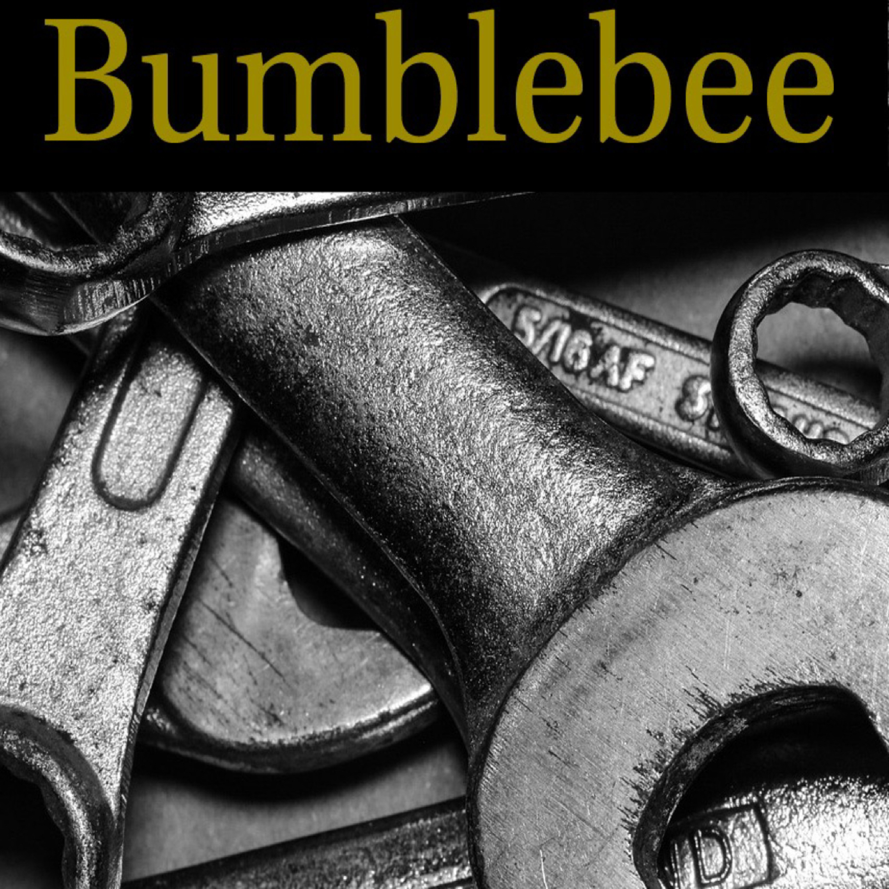 015 - Bumblebee episode artwork