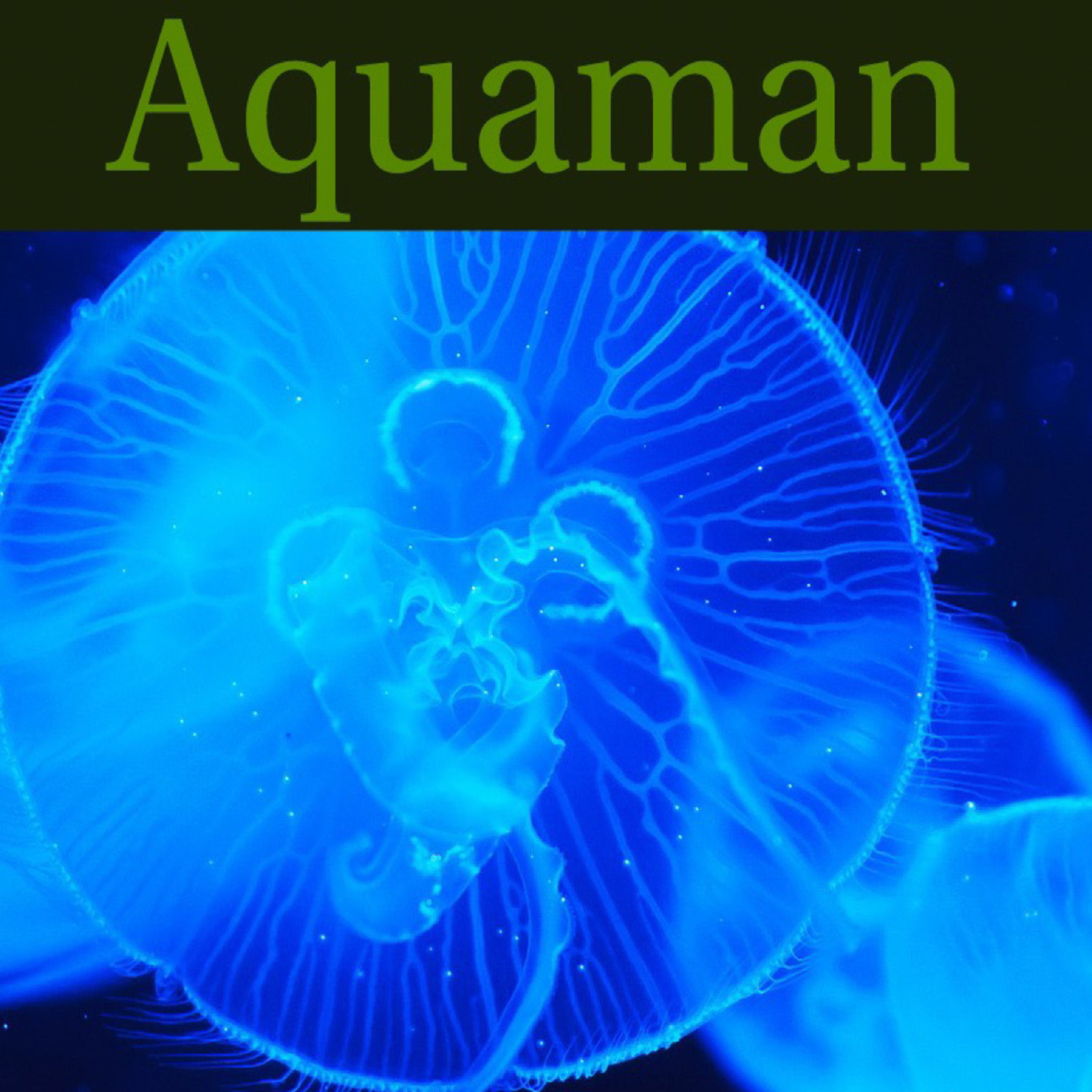 016 - Aquaman episode artwork