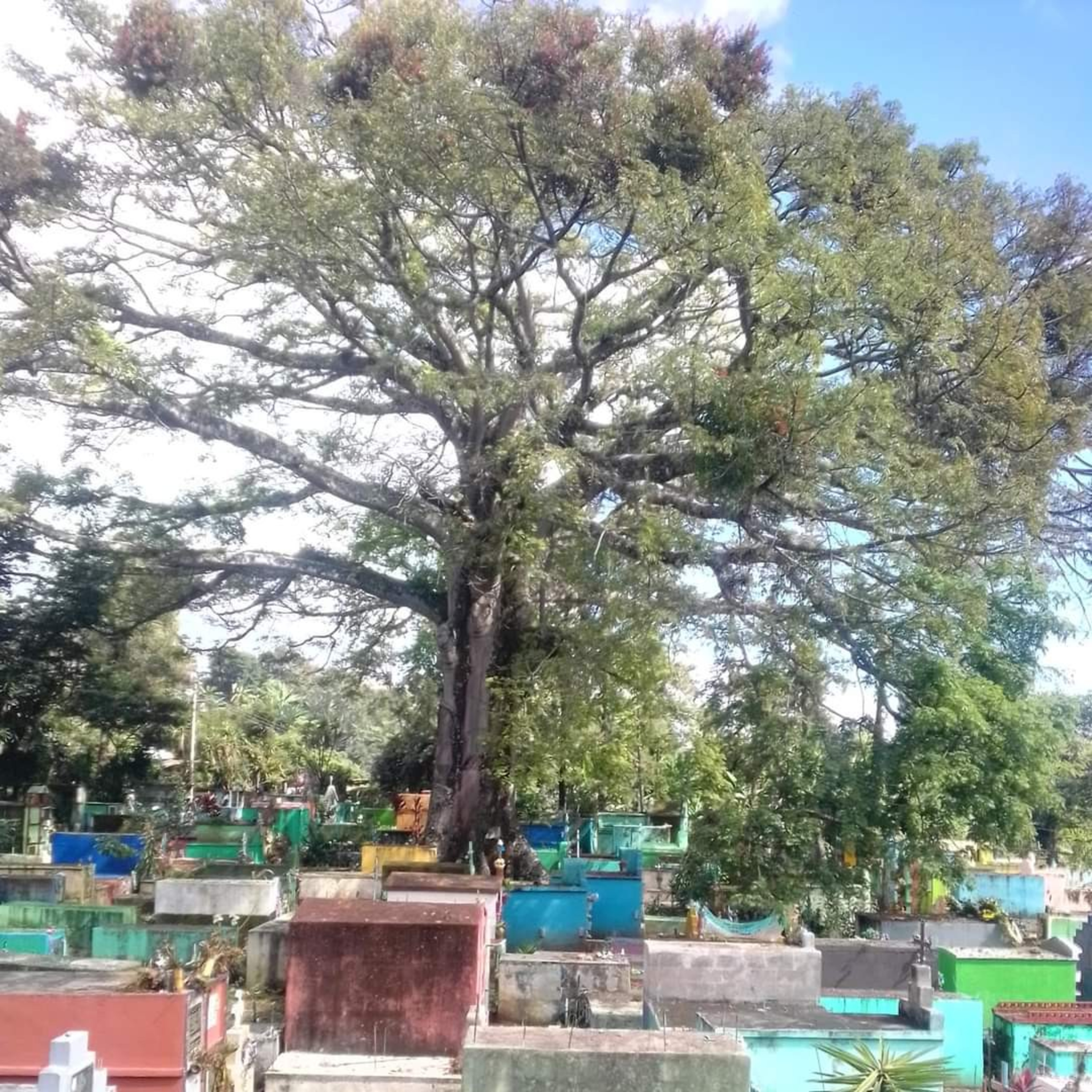 El Ideal PNV Guatemala