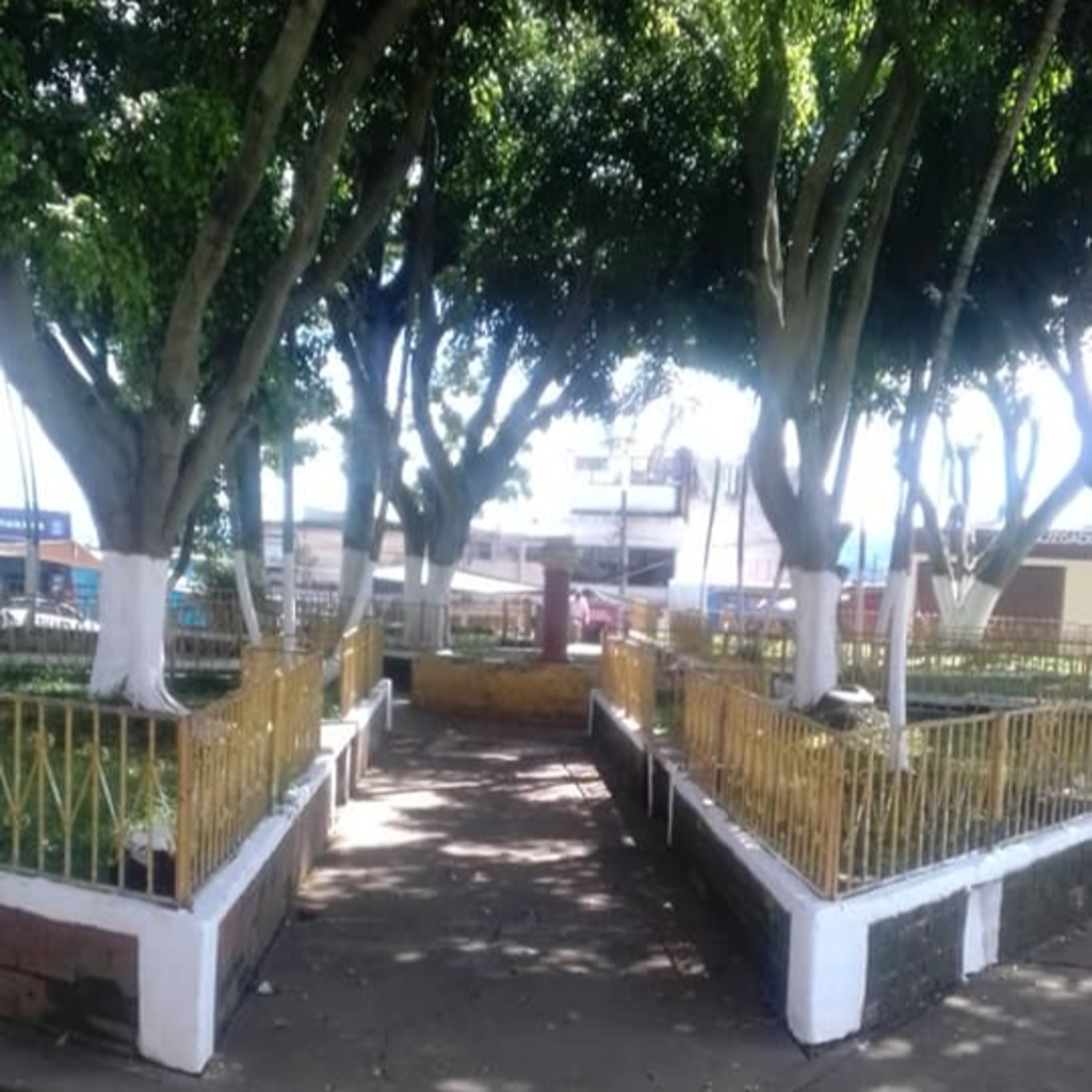 El Ideal PNV Guatemala