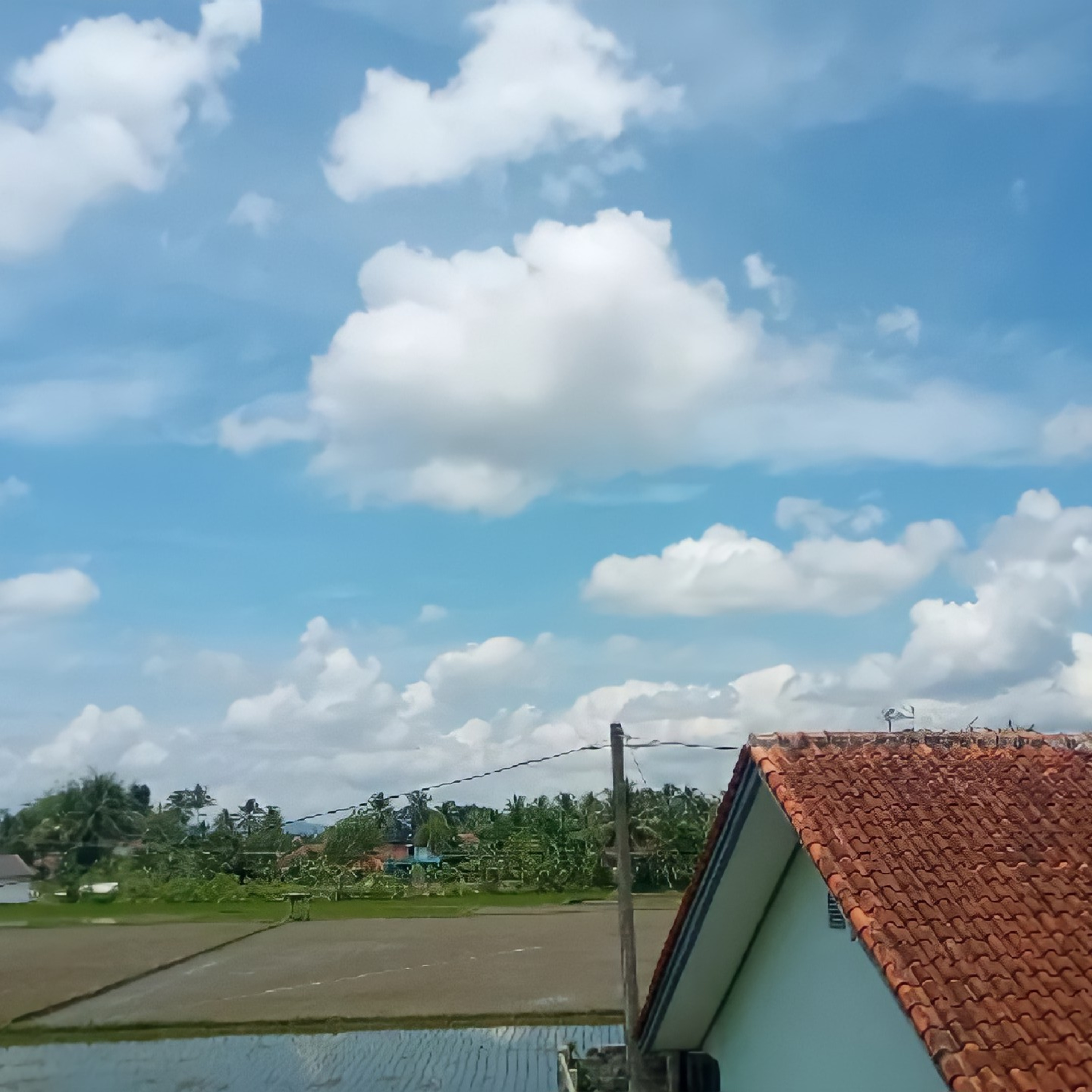 Menyuarakan